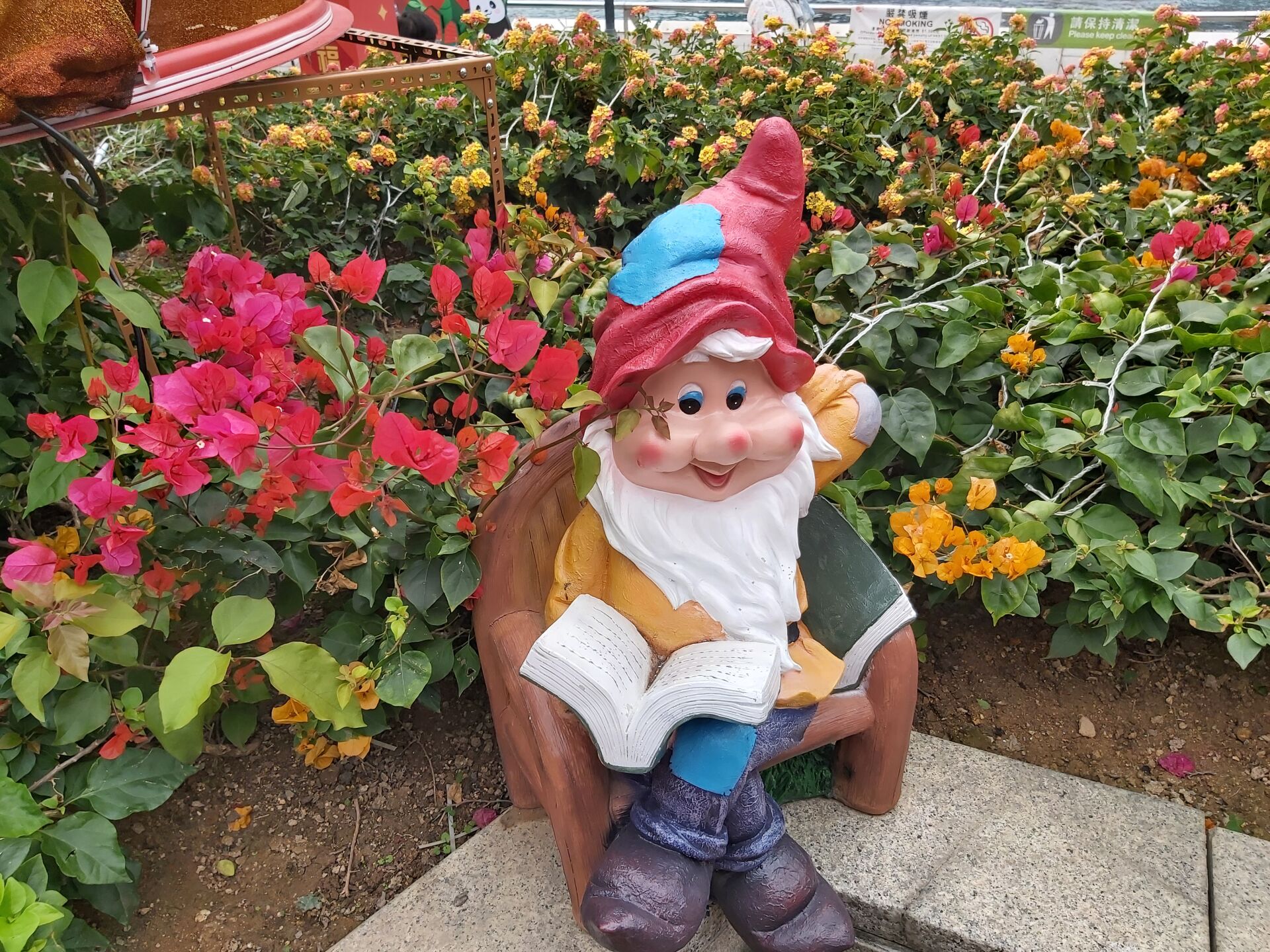 https://www.fa.gov.hk/葉子花(簕杜鵑)