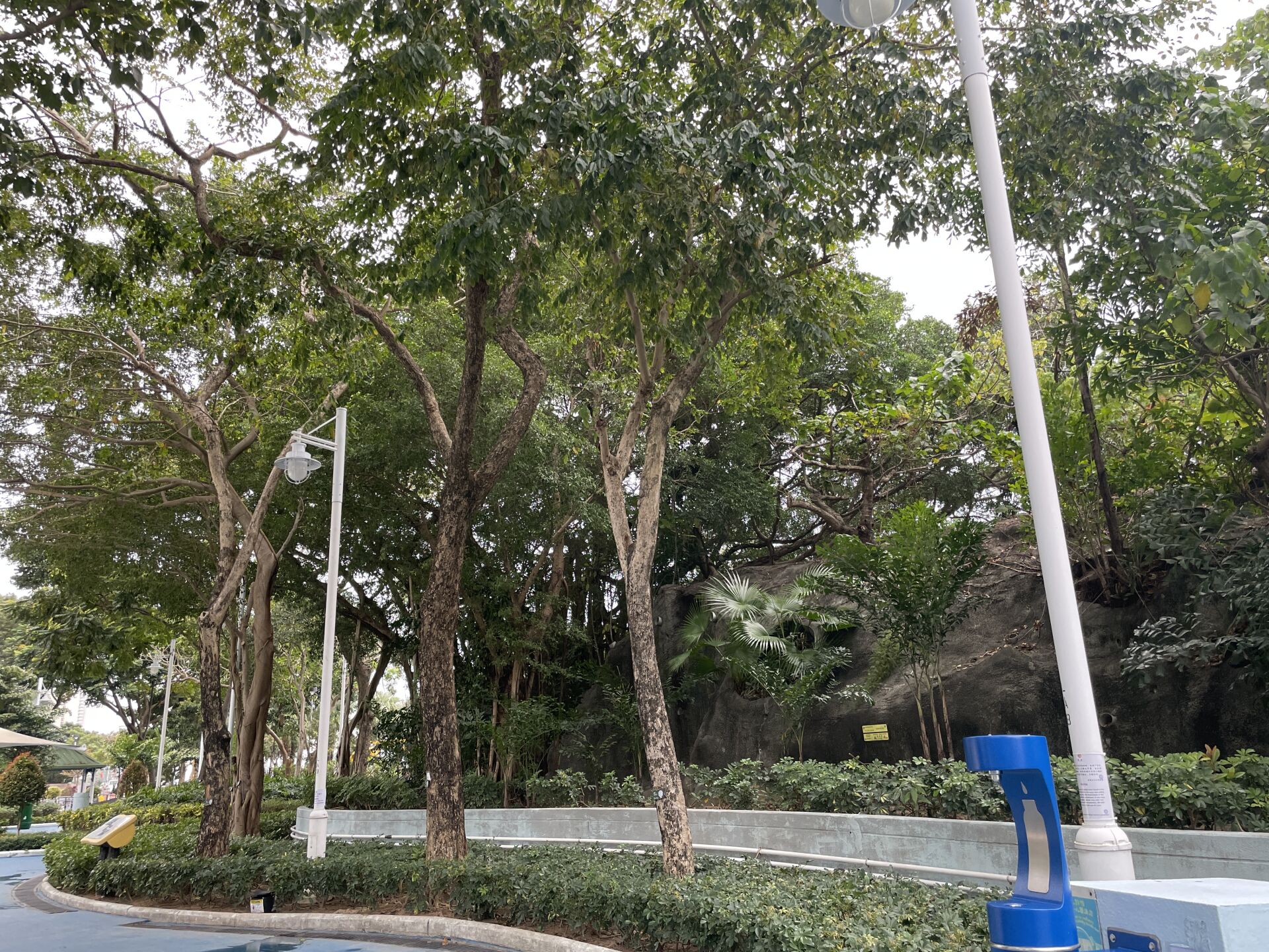 https://www.fa.gov.hk/紫檀