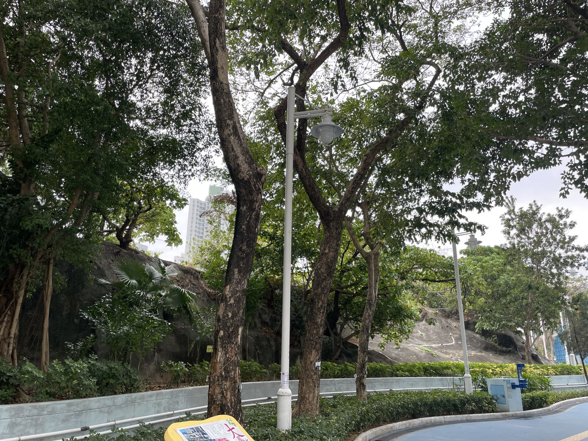 https://www.fa.gov.hk/紫檀