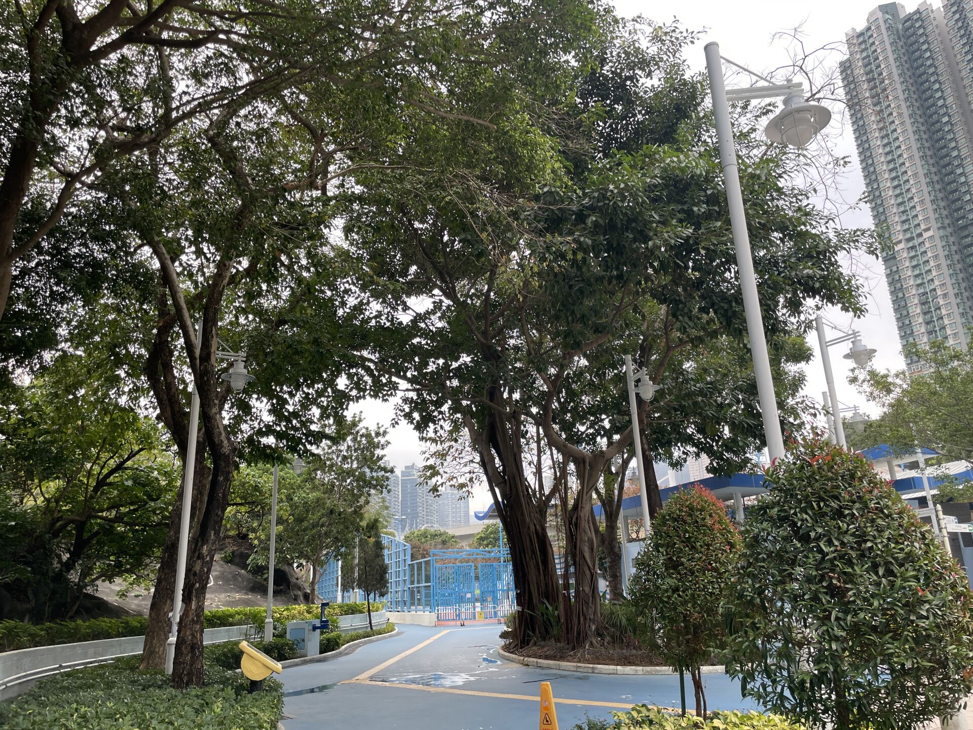 https://www.fa.gov.hk/紫檀
