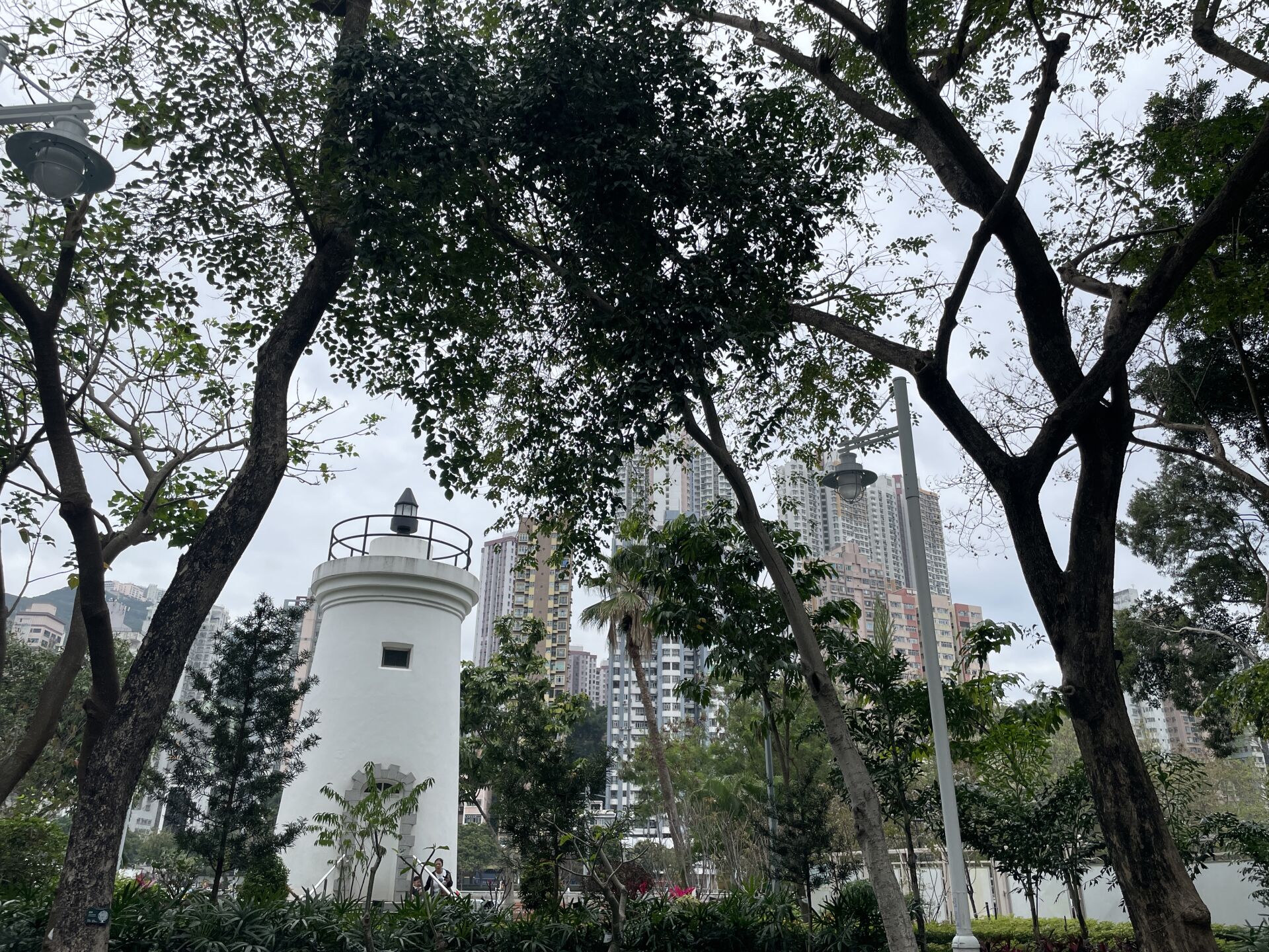 https://www.fa.gov.hk/紫檀