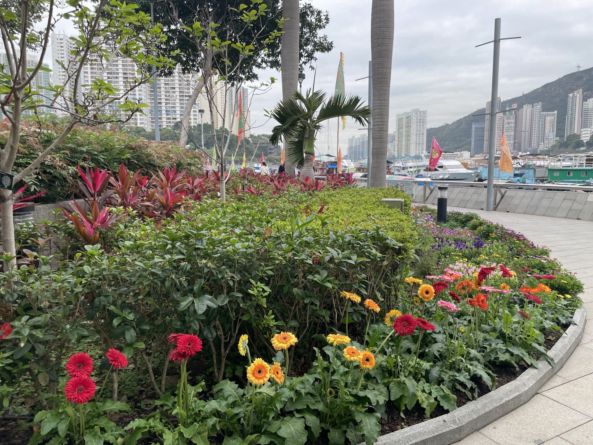 https://www.fa.gov.hk/