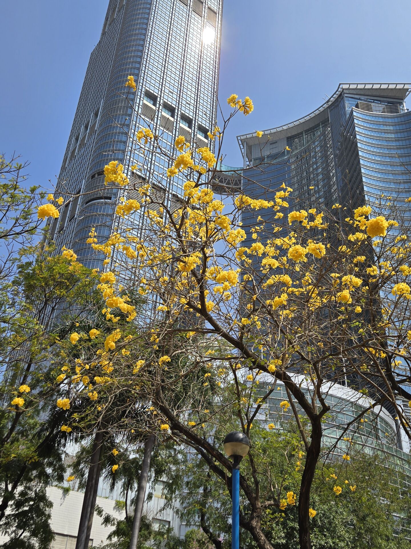 https://www.fa.gov.hk/黃鐘木