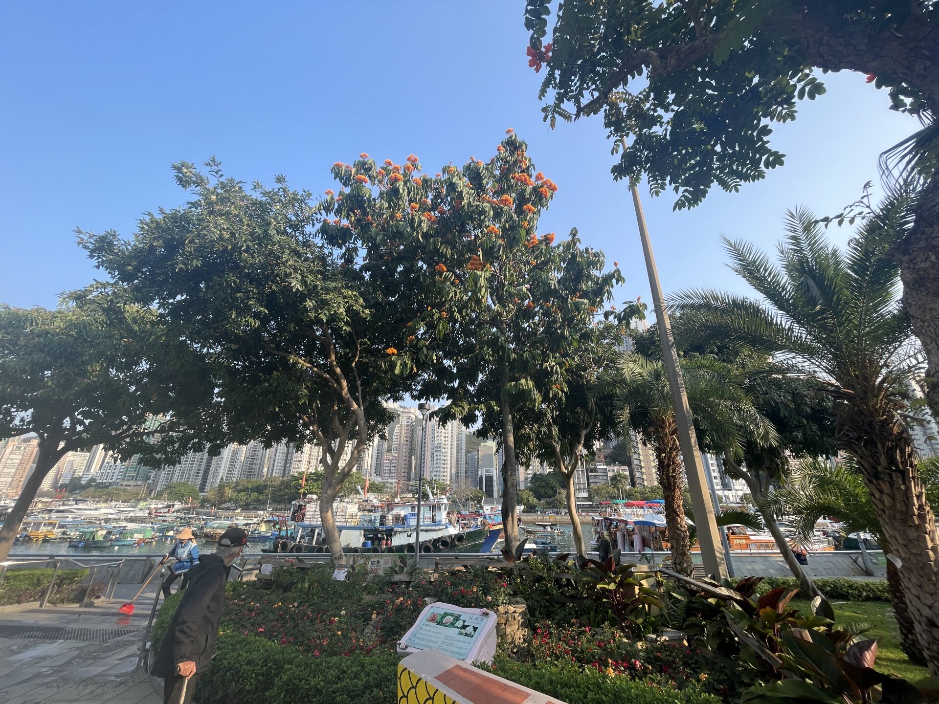 https://www.fa.gov.hk/無憂樹