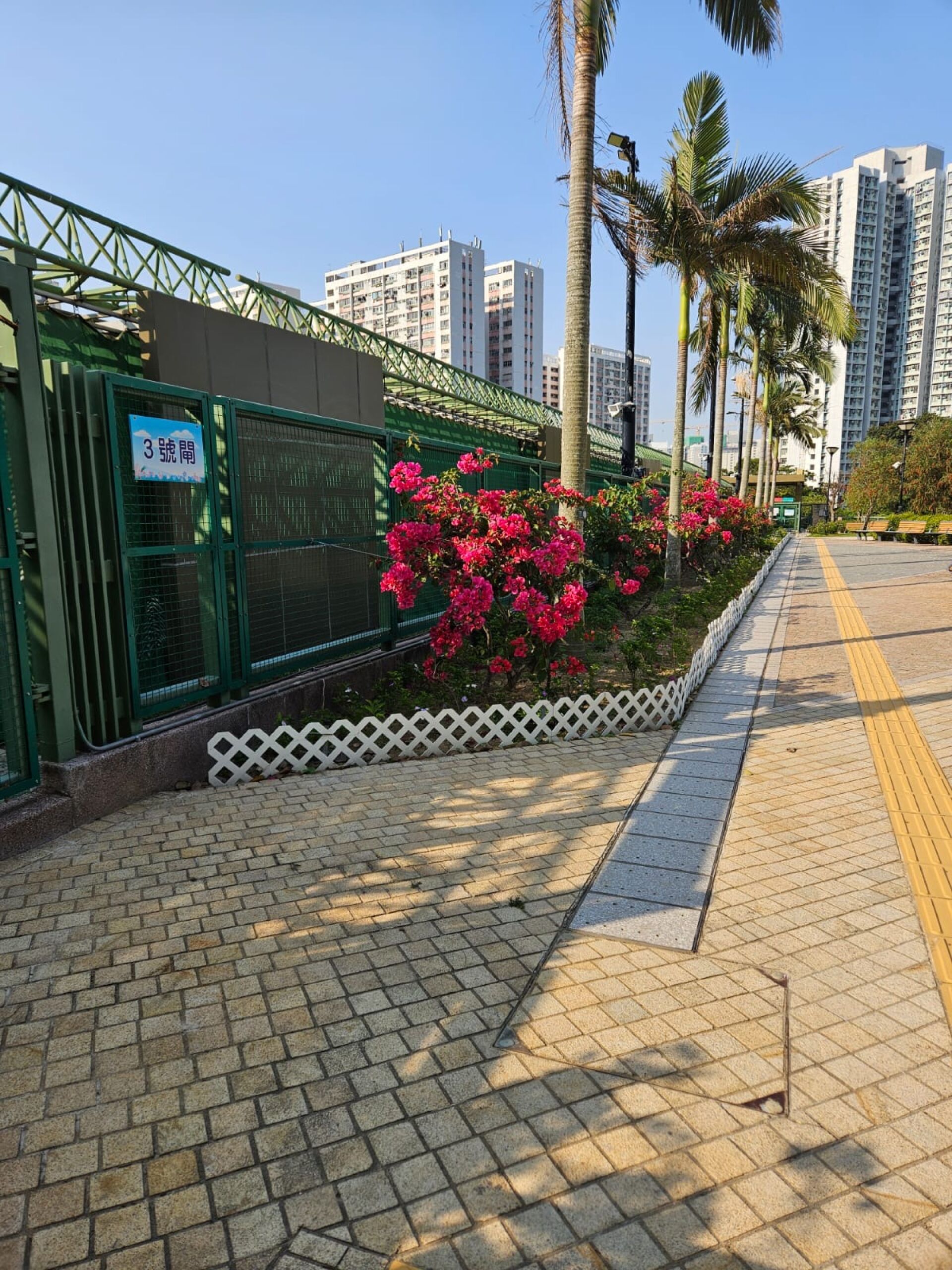 https://www.fa.gov.hk/葉子花(簕杜鵑)