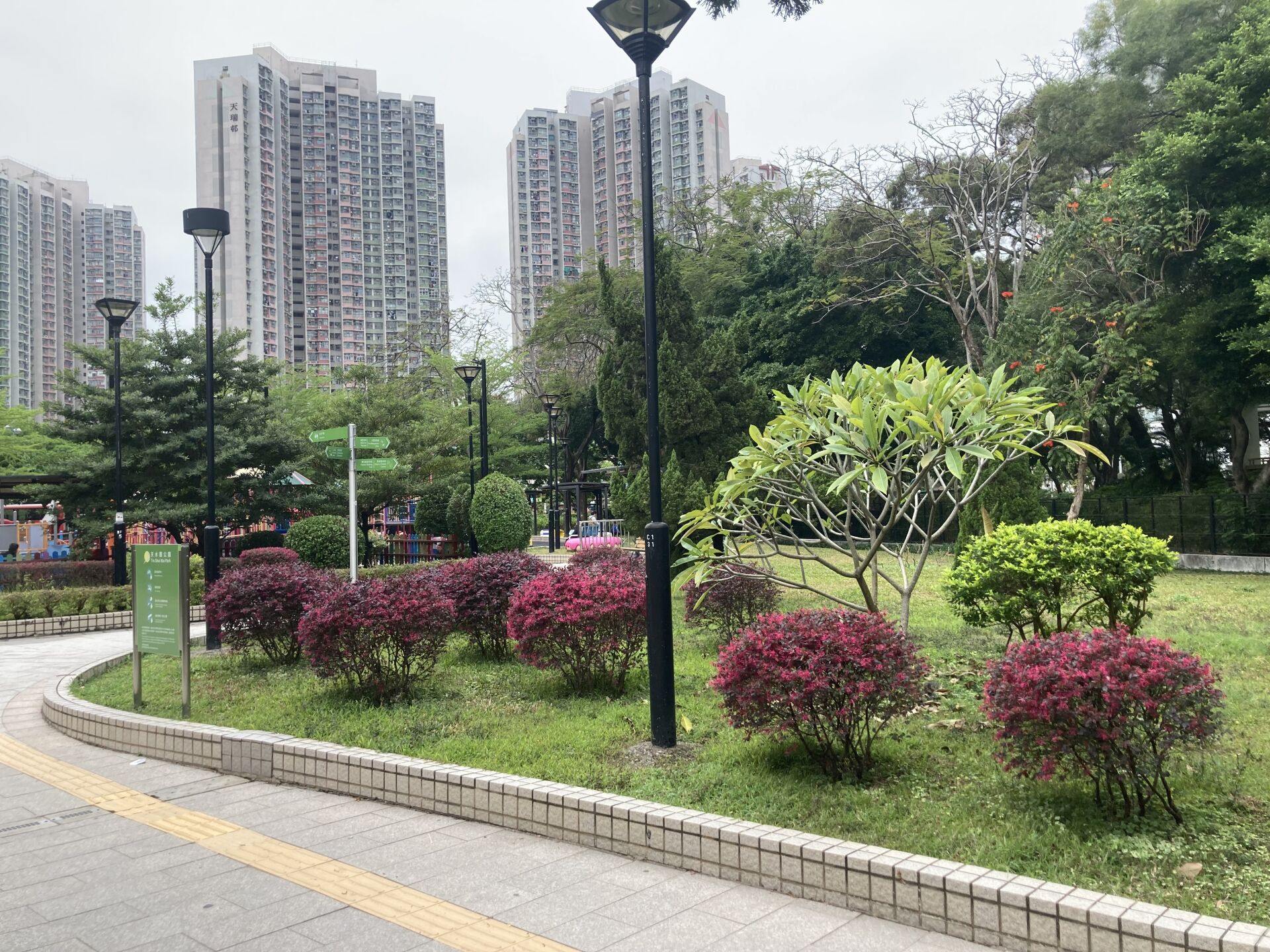 https://www.fa.gov.hk/紅花檵木