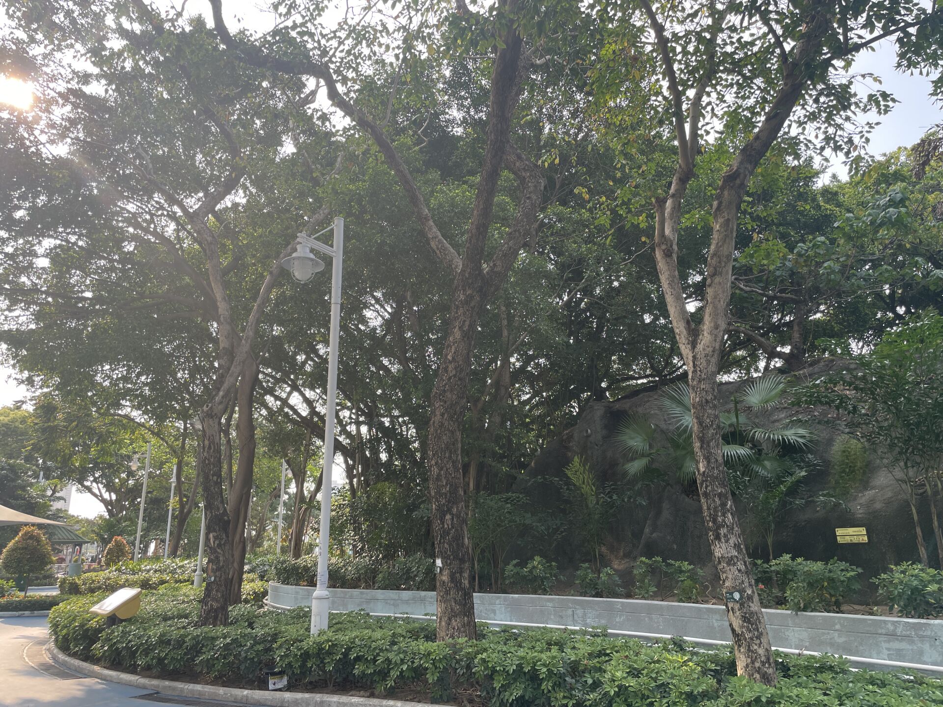 https://www.fa.gov.hk/紫檀