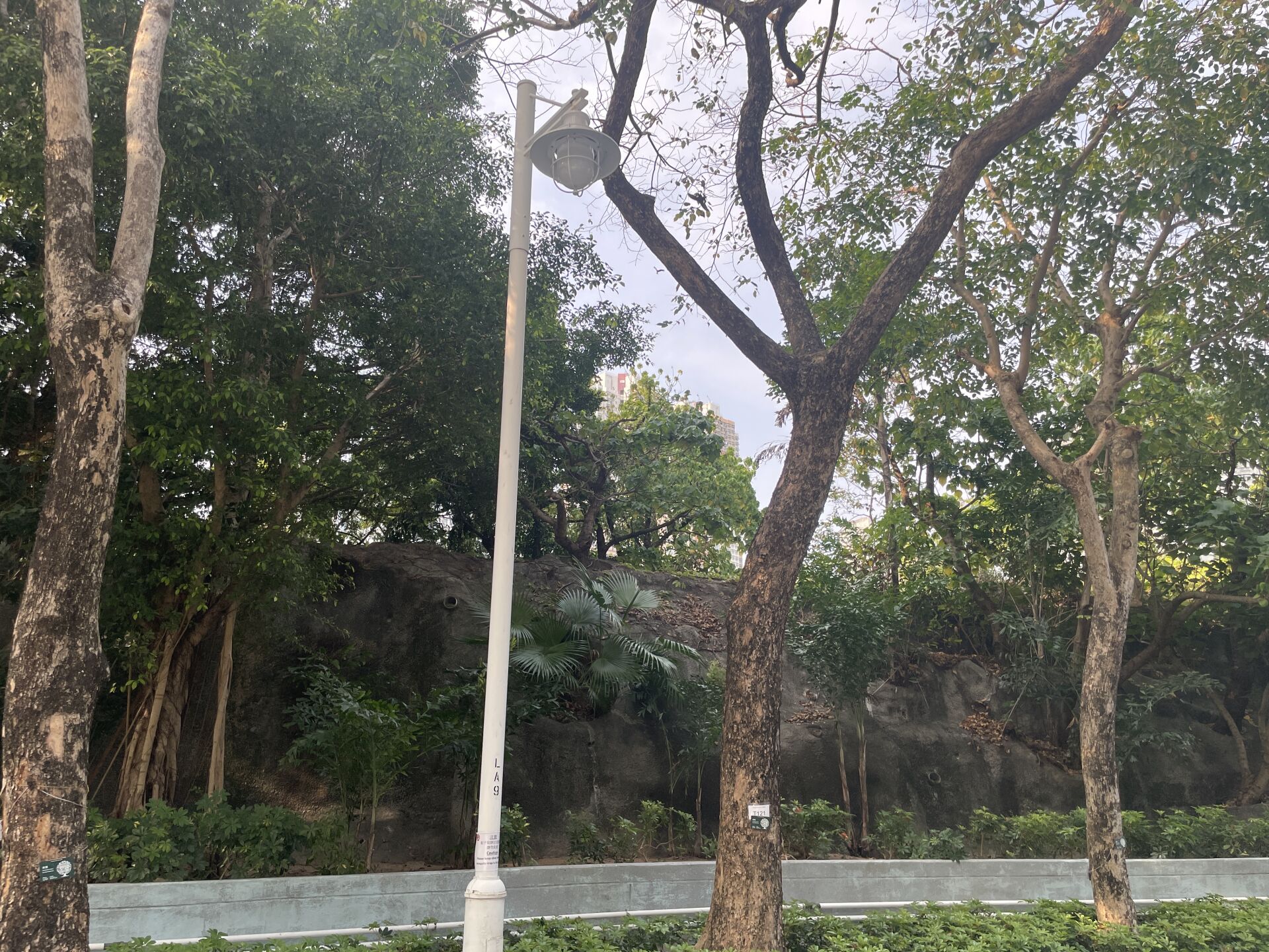 https://www.fa.gov.hk/紫檀
