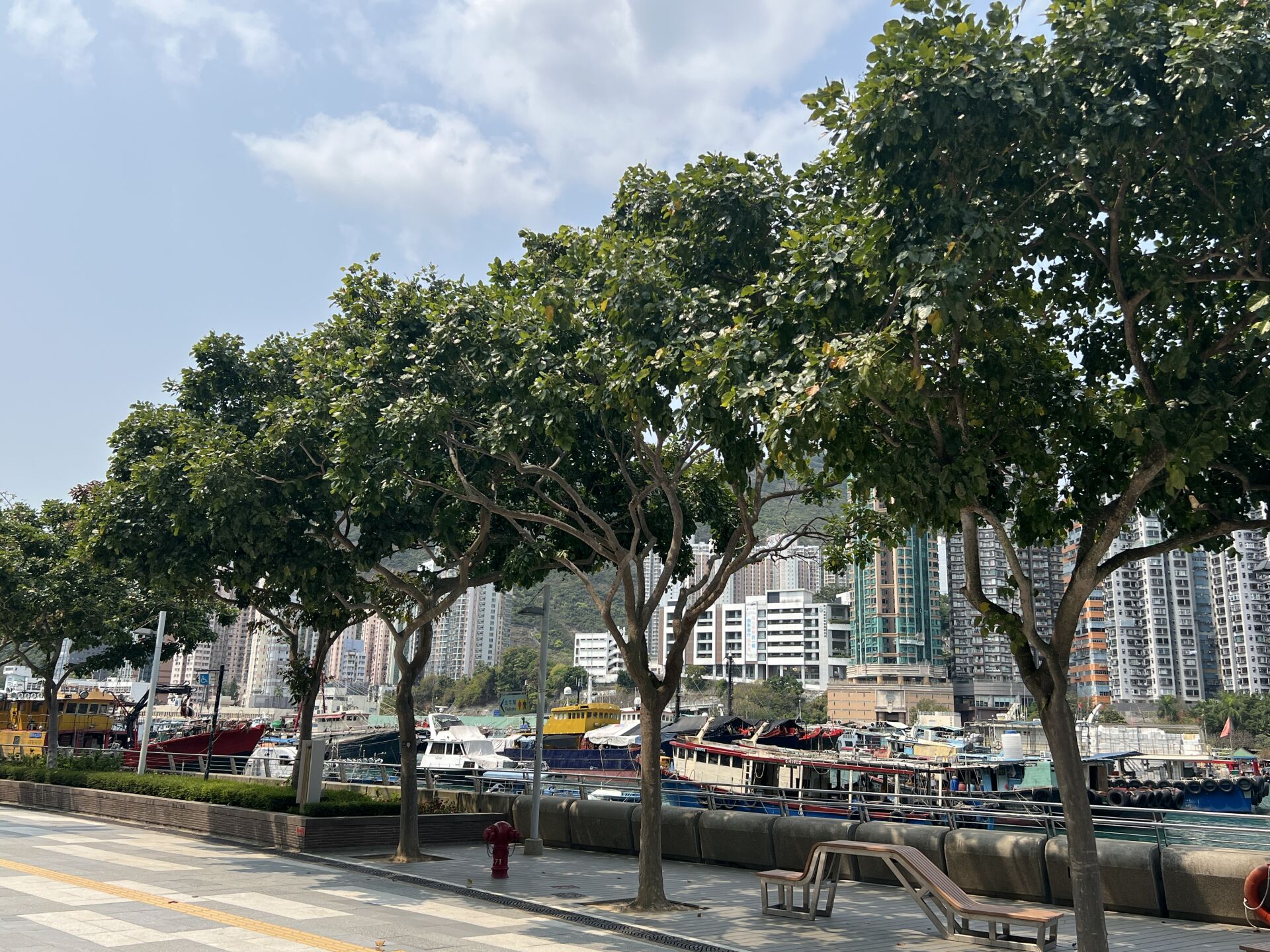 https://www.fa.gov.hk/水黃皮