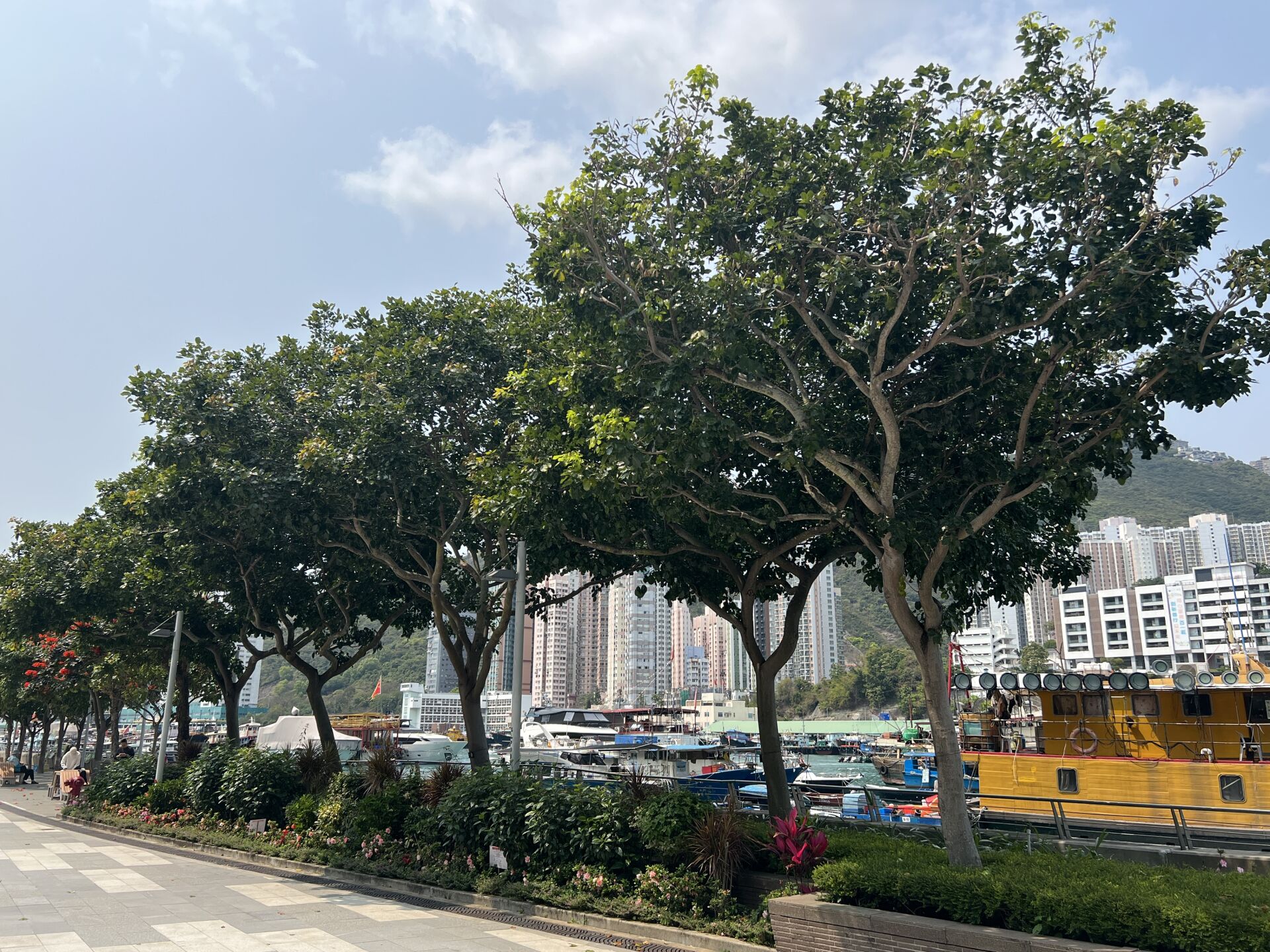 https://www.fa.gov.hk/水黃皮