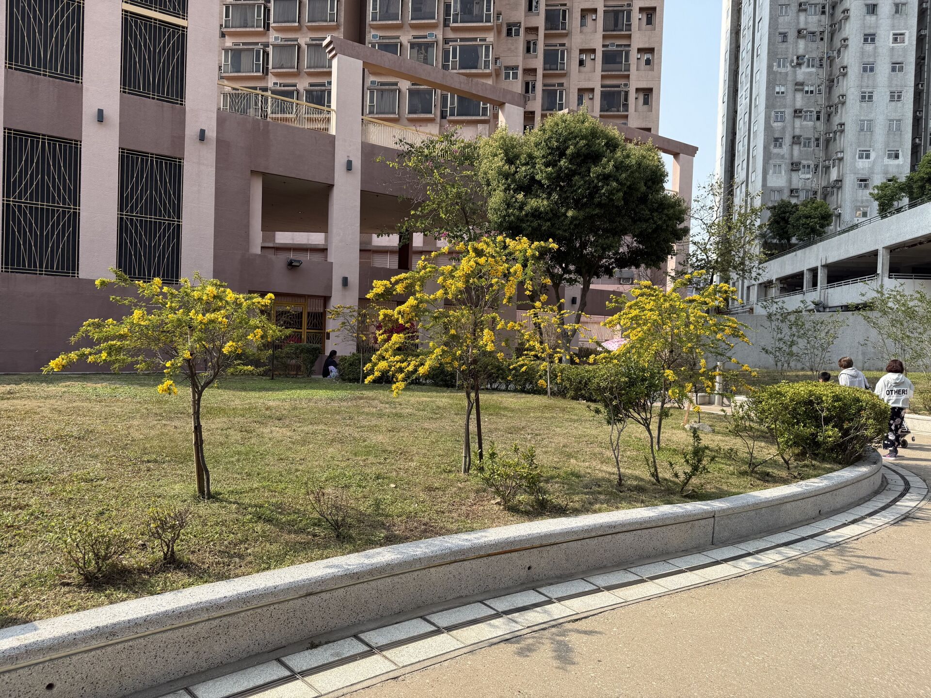 https://www.fa.gov.hk/黃槐決明