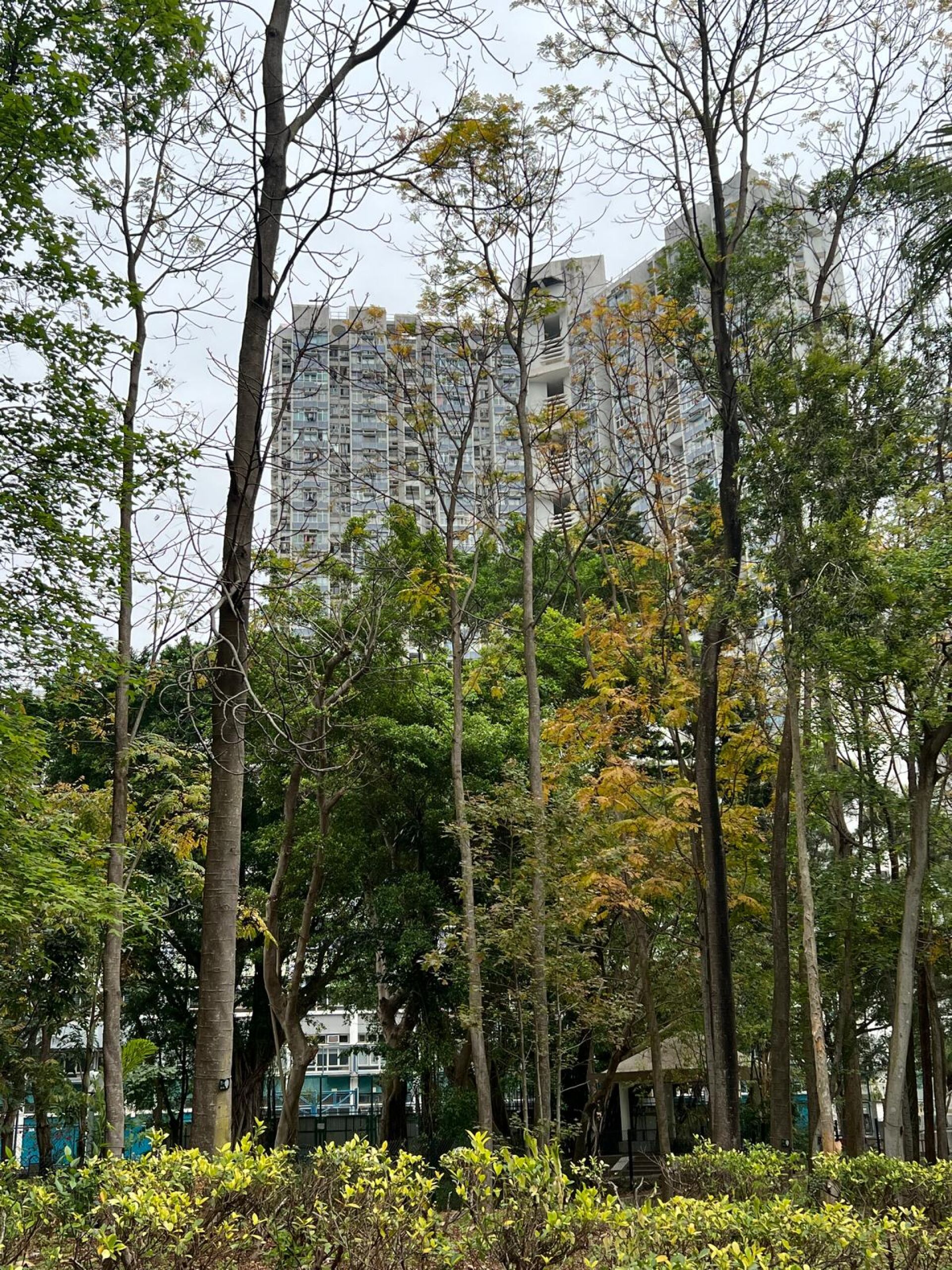 https://www.fa.gov.hk/銀珠