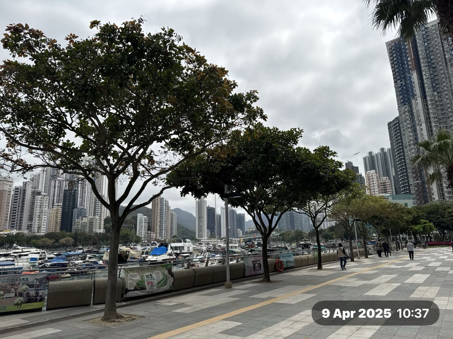 https://www.fa.gov.hk/水黃皮