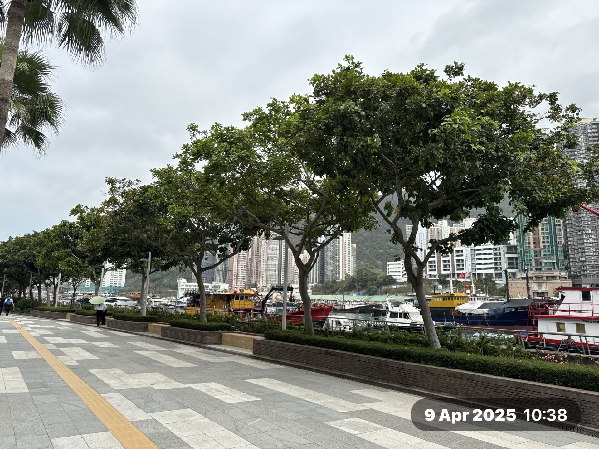 https://www.fa.gov.hk/水黃皮