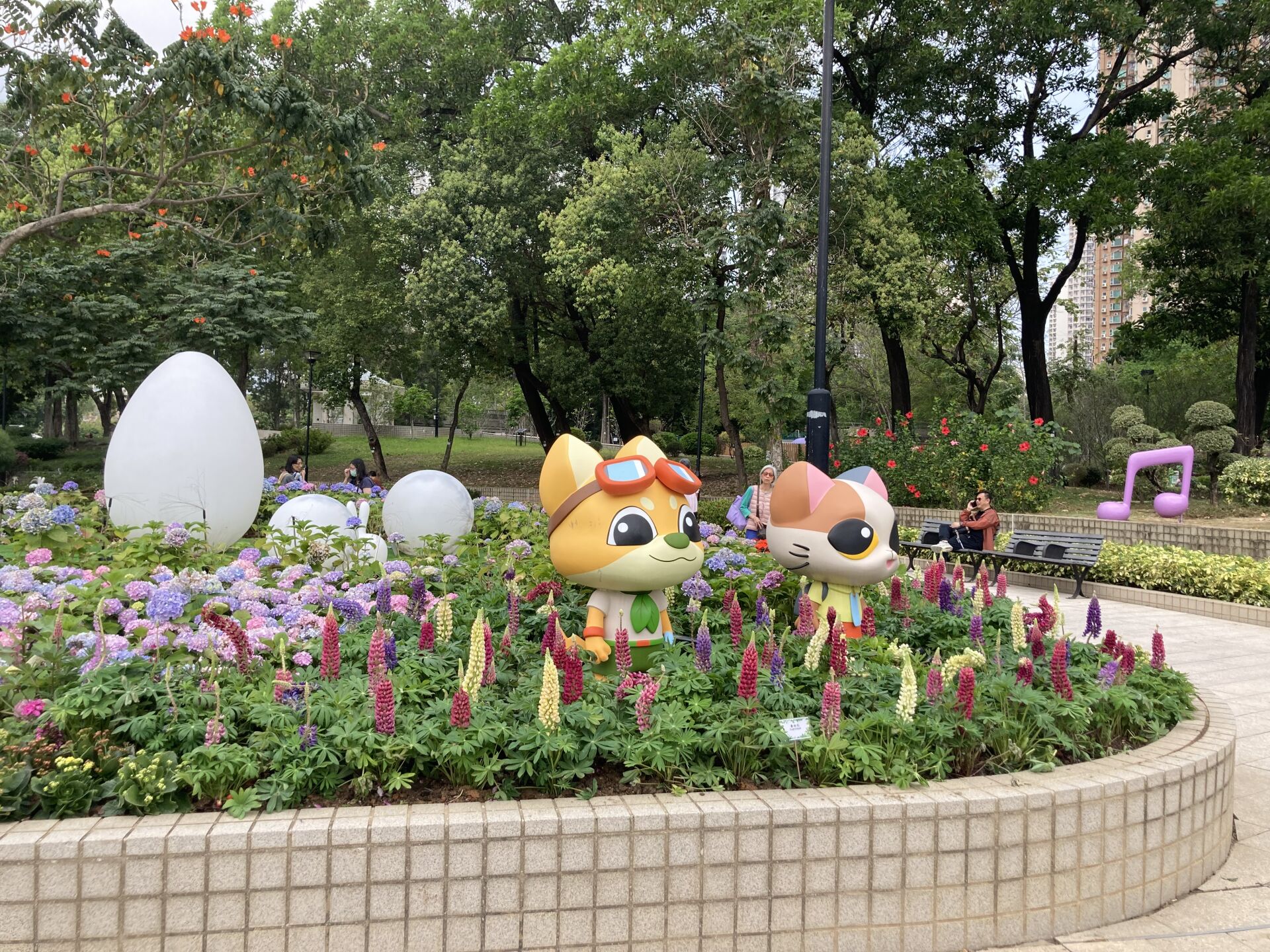 https://www.fa.gov.hk/魯冰花