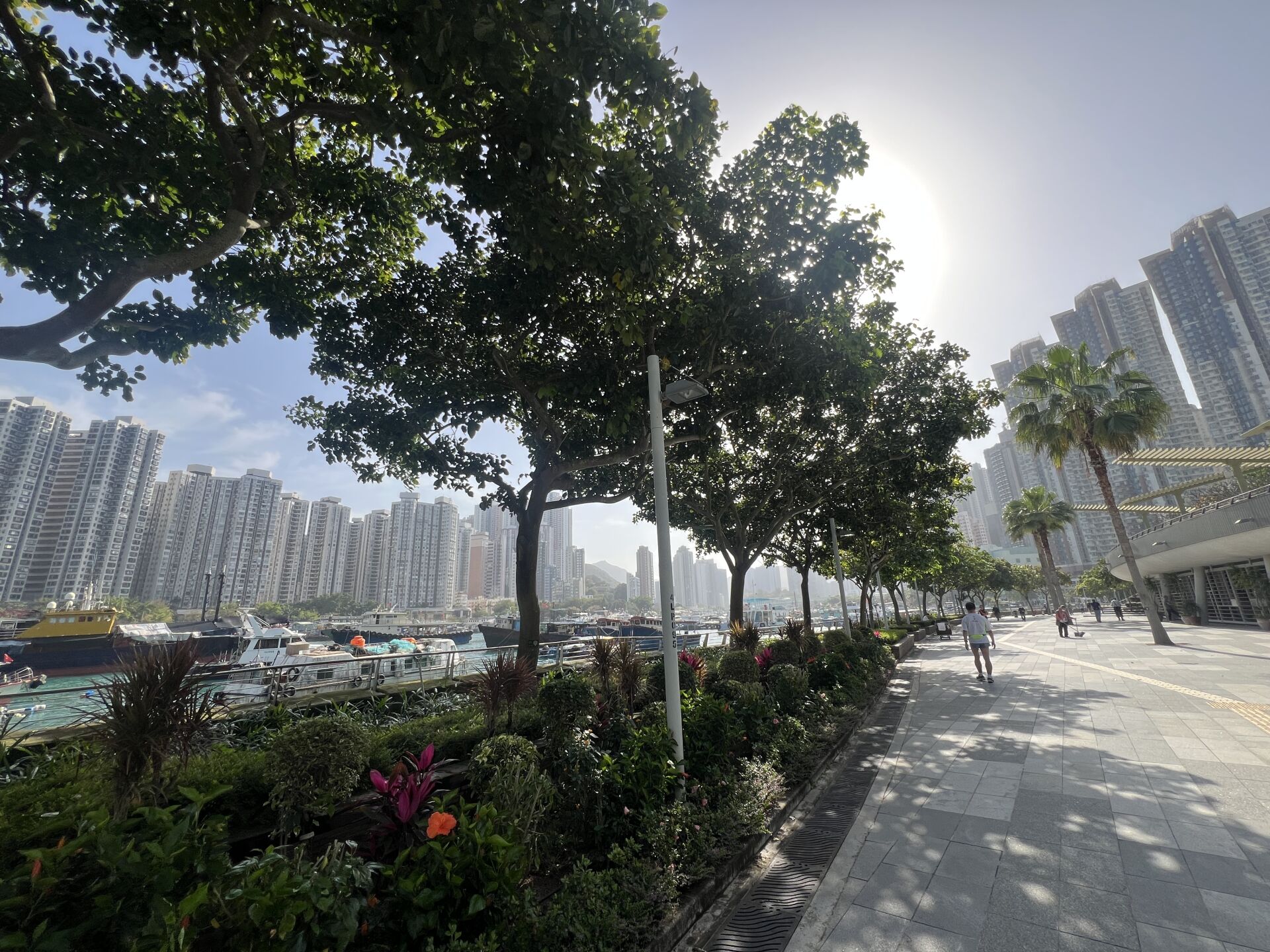 https://www.fa.gov.hk/水黃皮