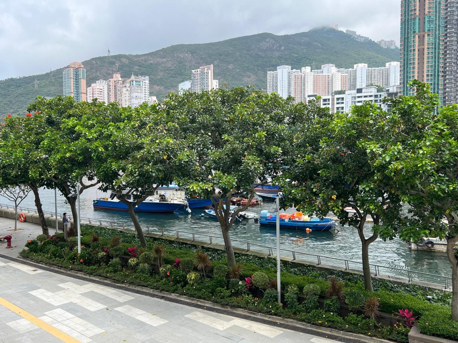 https://www.fa.gov.hk/水黃皮