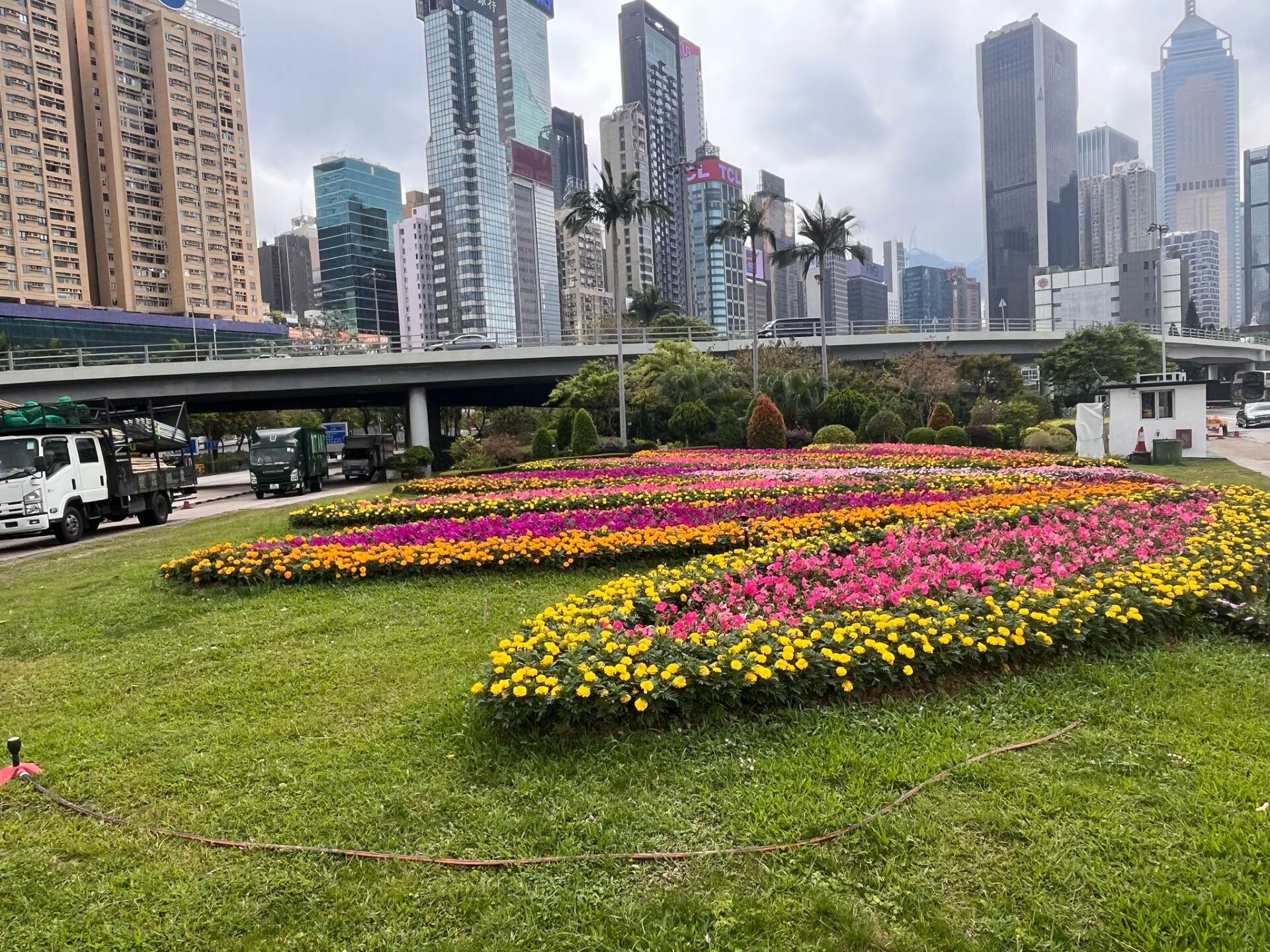 https://www.fa.gov.hk/萬壽菊，牽牛花，鳳仙花