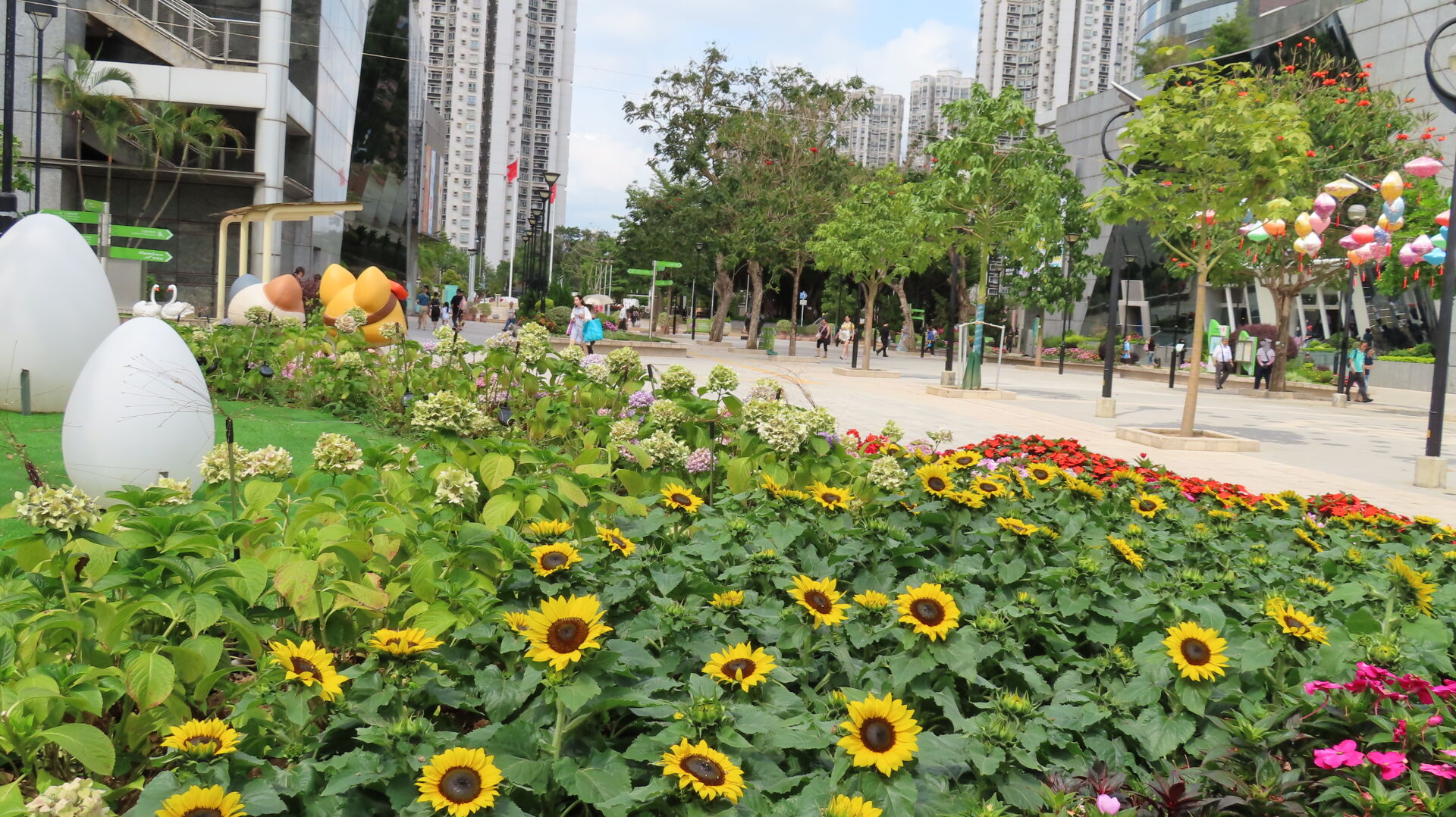 https://www.fa.gov.hk/向日葵(太陽花)