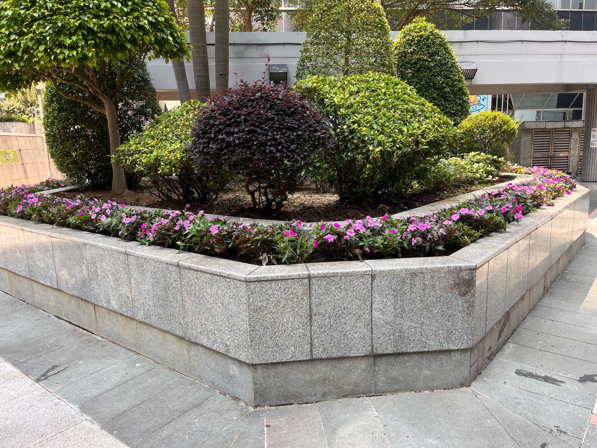 https://www.fa.gov.hk/鳳仙花
