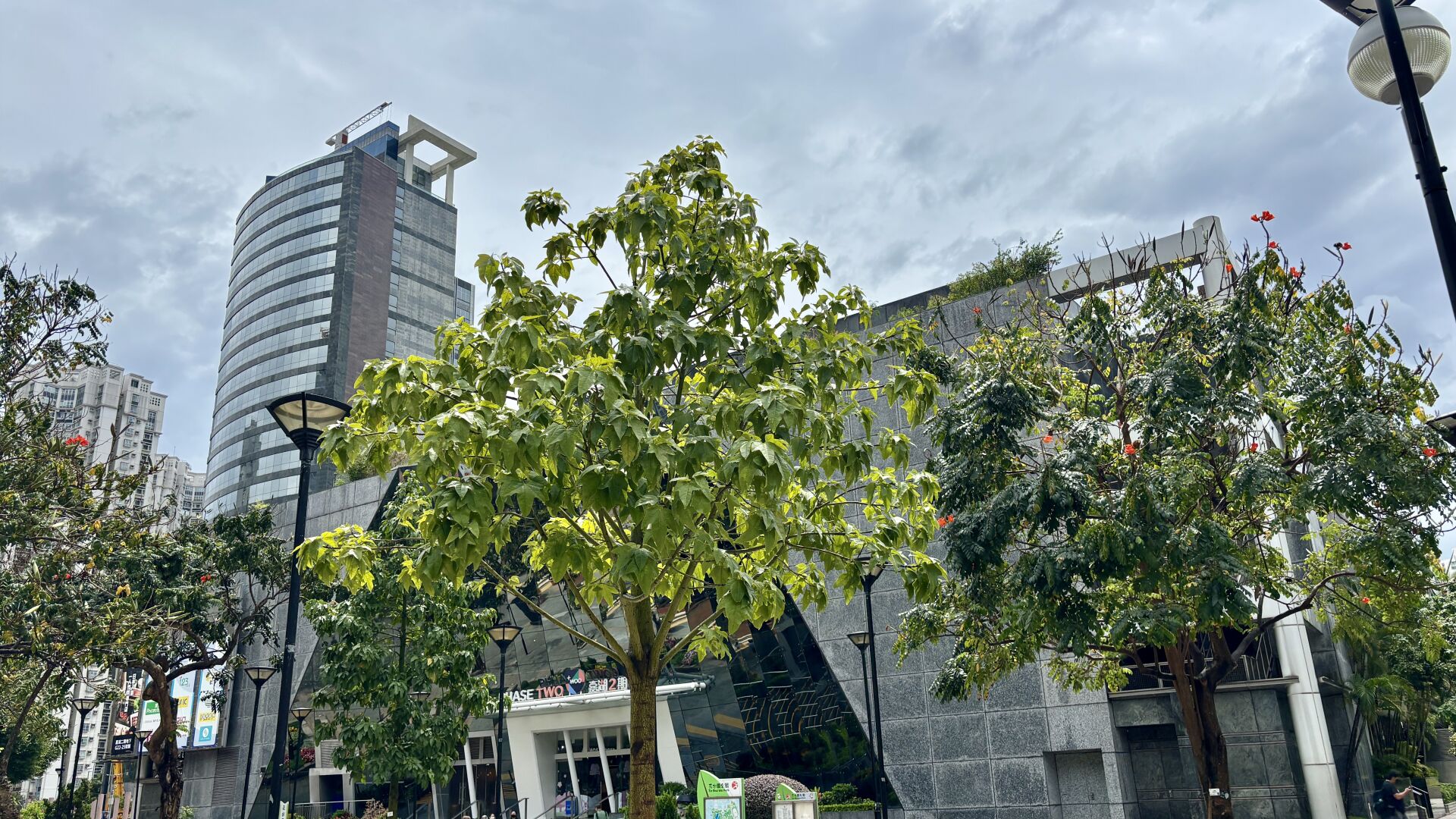 https://www.fa.gov.hk/槭葉蘋婆