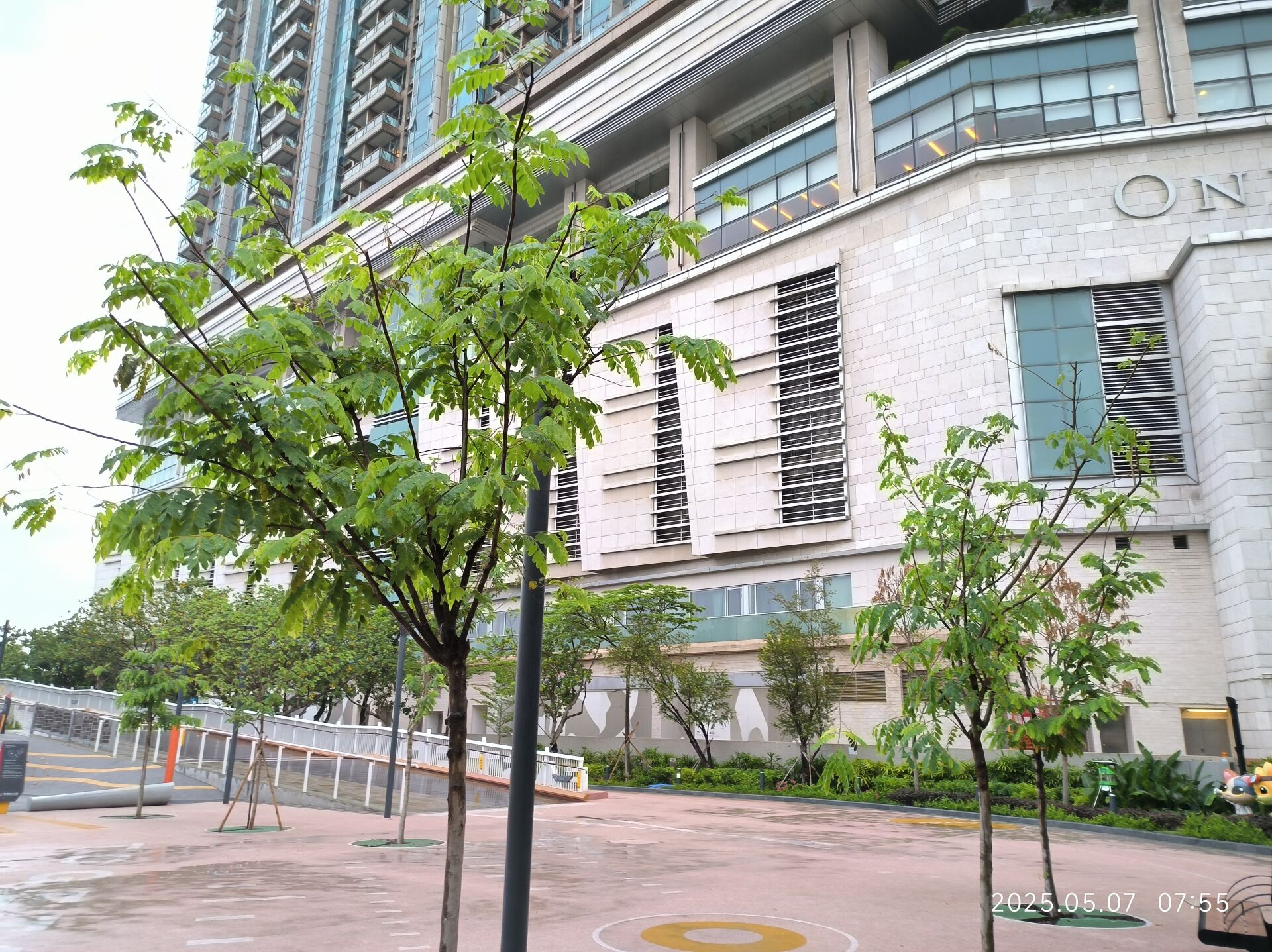 https://www.fa.gov.hk/花旗木
