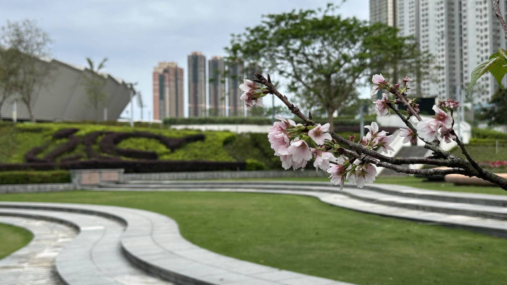 https://www.fa.gov.hk/櫻花