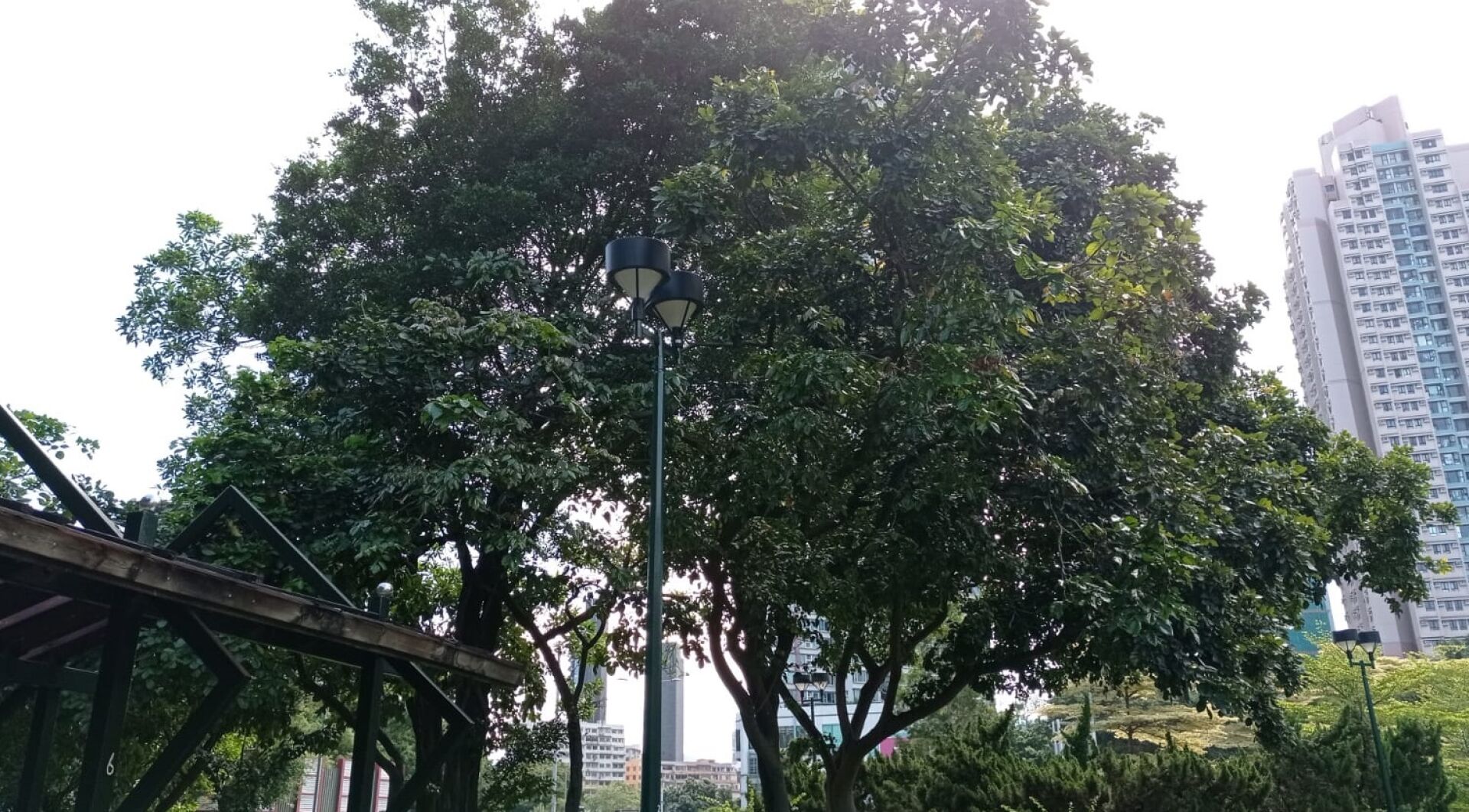 https://www.fa.gov.hk/水黃皮