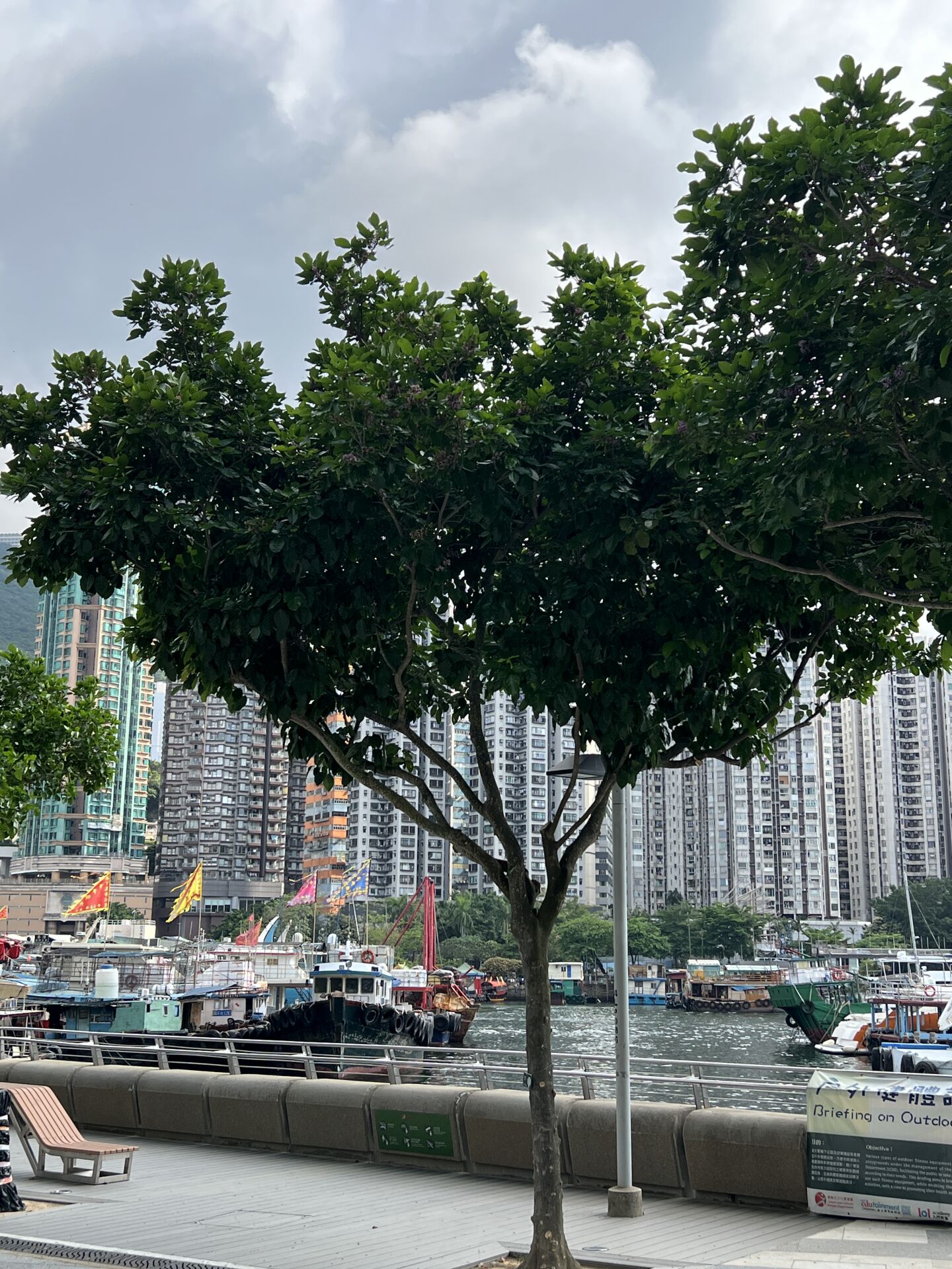 https://www.fa.gov.hk/水黃皮