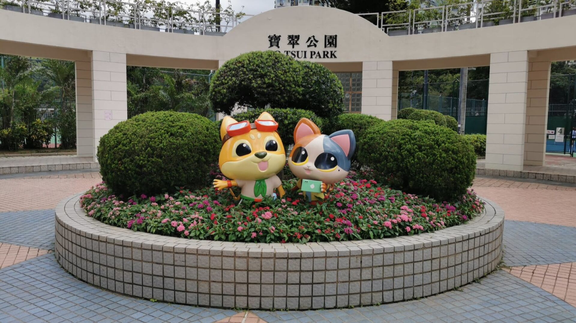 https://www.fa.gov.hk/五星花