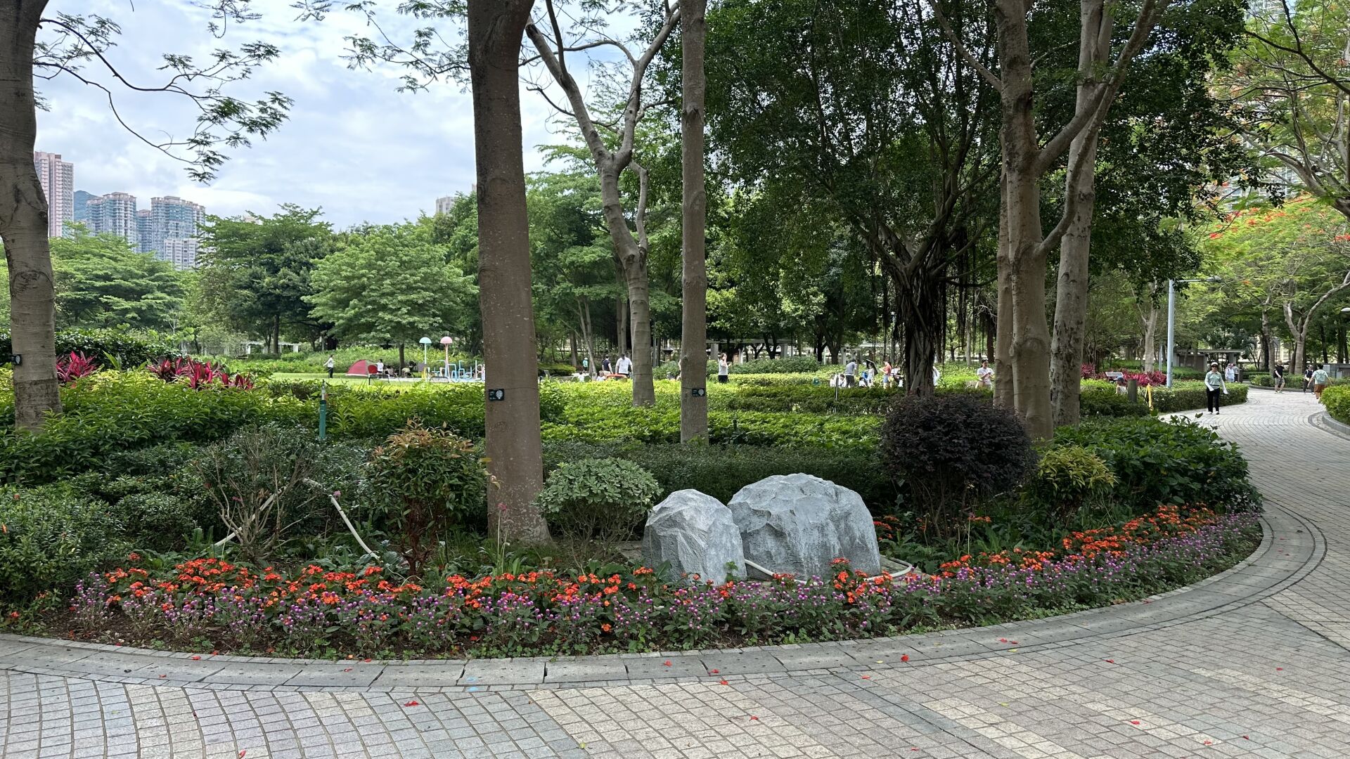 https://www.fa.gov.hk/玫瑰海棠