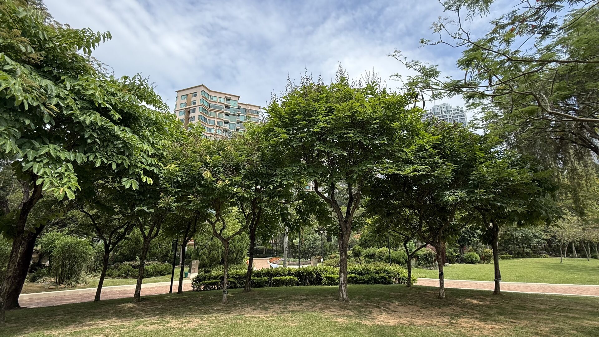https://www.fa.gov.hk/大花紫薇