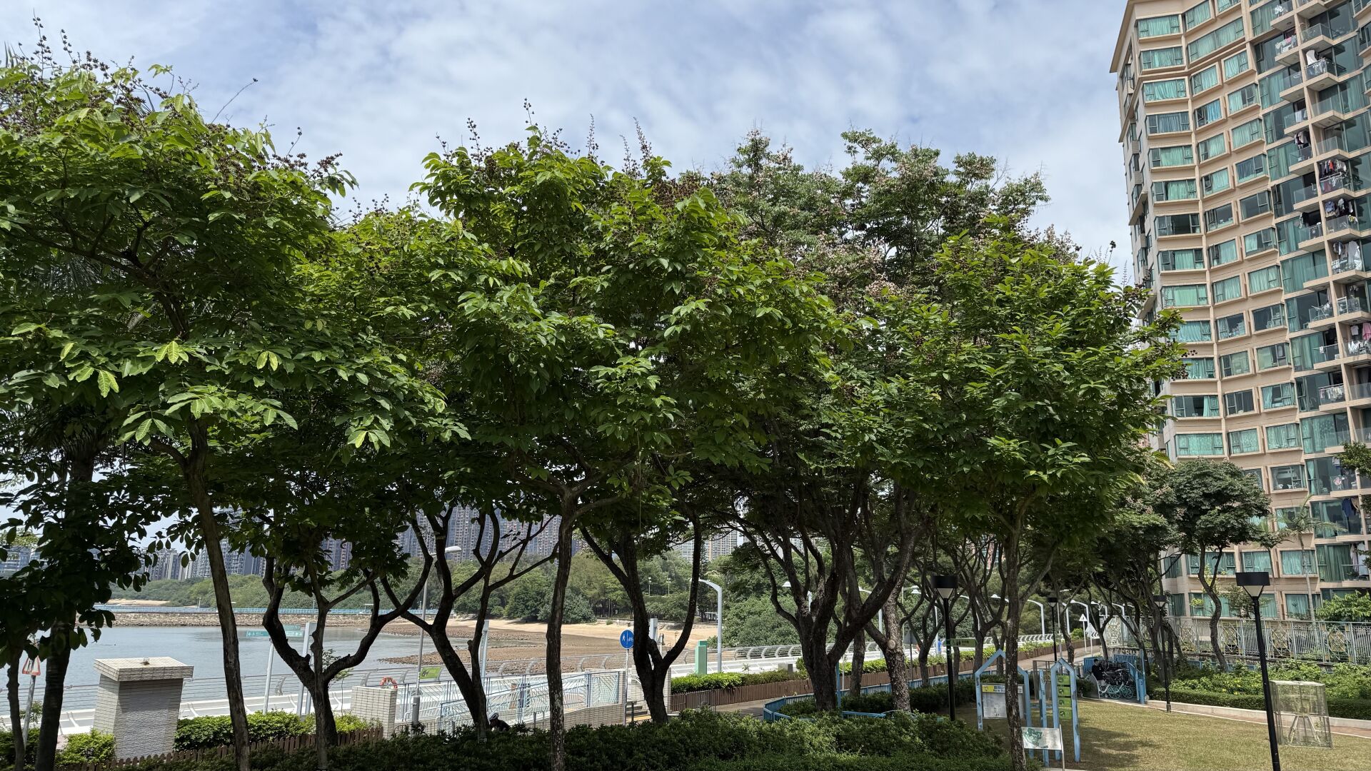 https://www.fa.gov.hk/大花紫薇