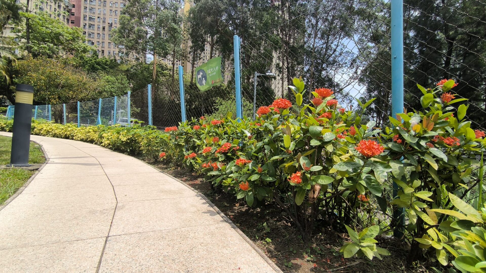 https://www.fa.gov.hk/龍船花