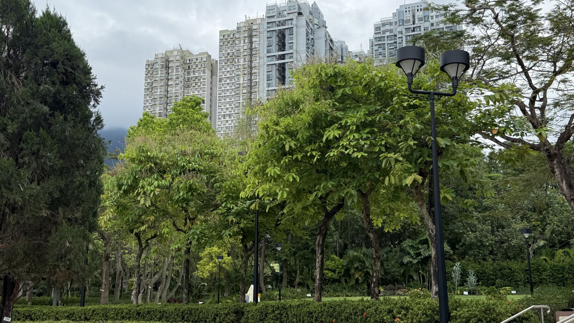 https://www.fa.gov.hk/大花紫薇