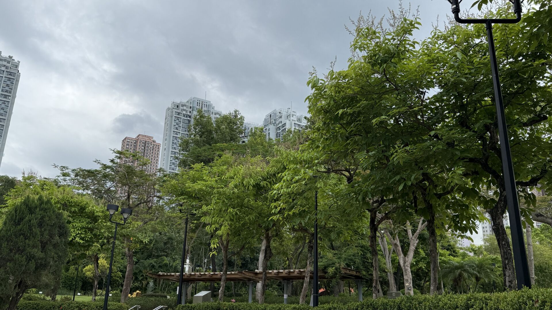 https://www.fa.gov.hk/大花紫薇
