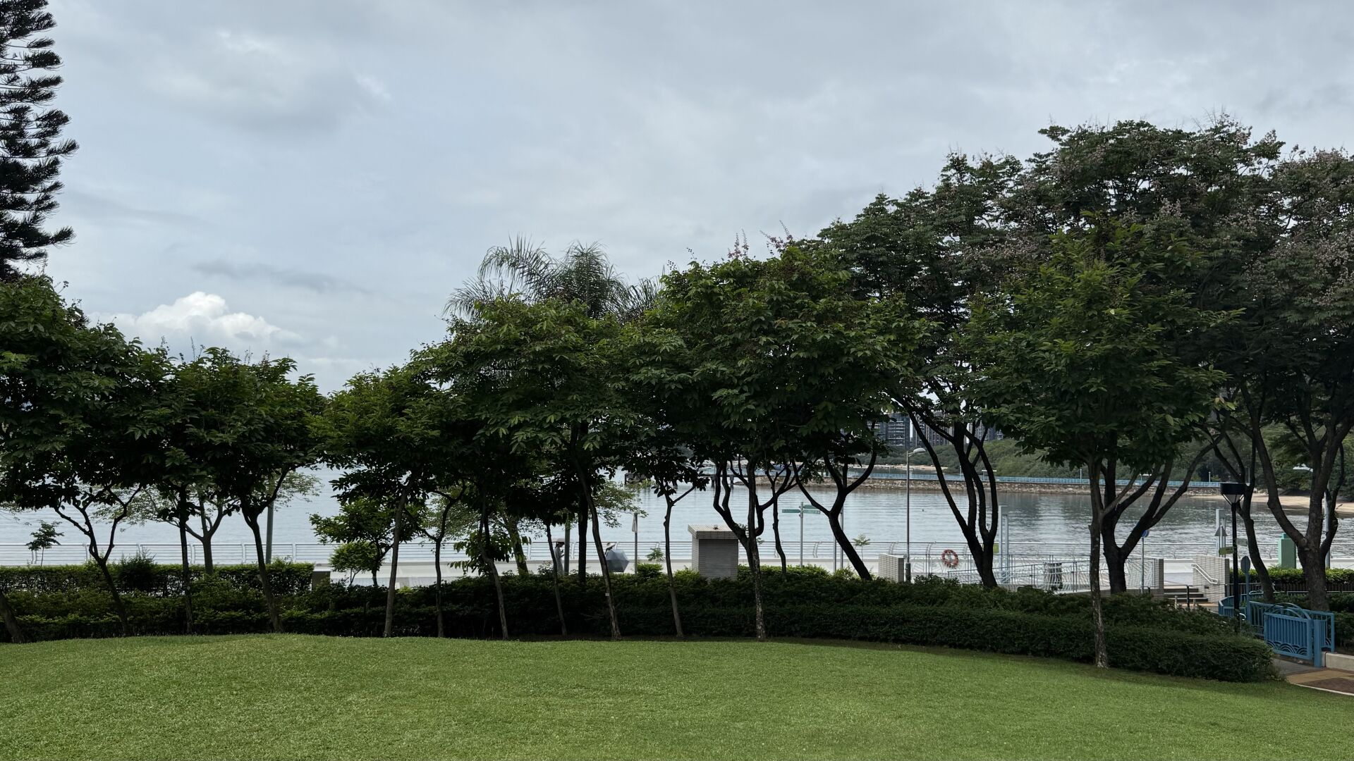 https://www.fa.gov.hk/大花紫薇