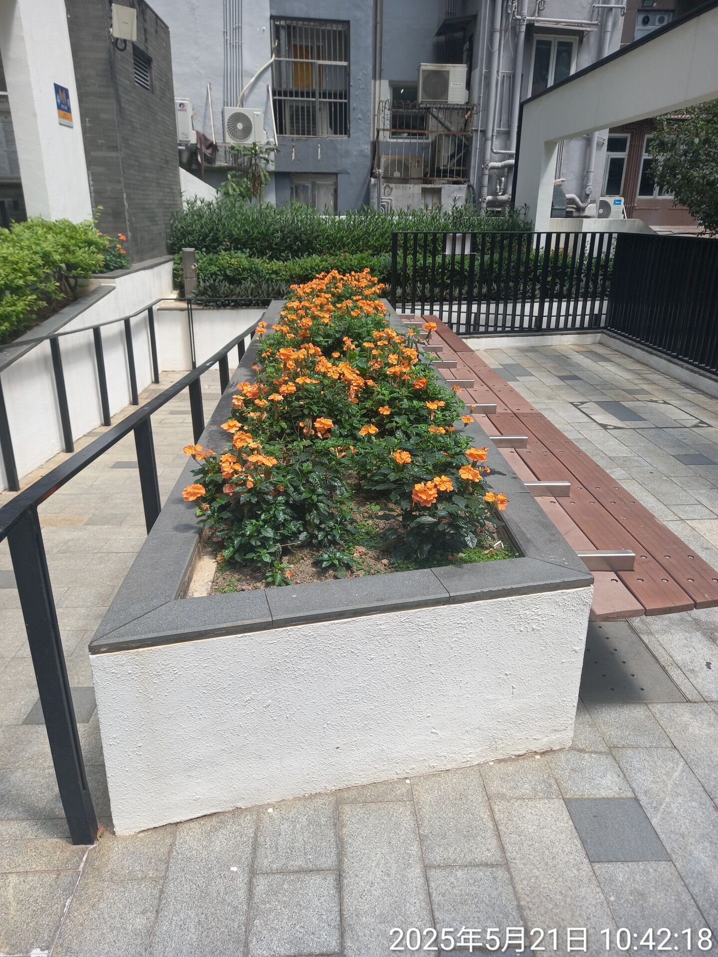 https://www.fa.gov.hk/鳥尾花