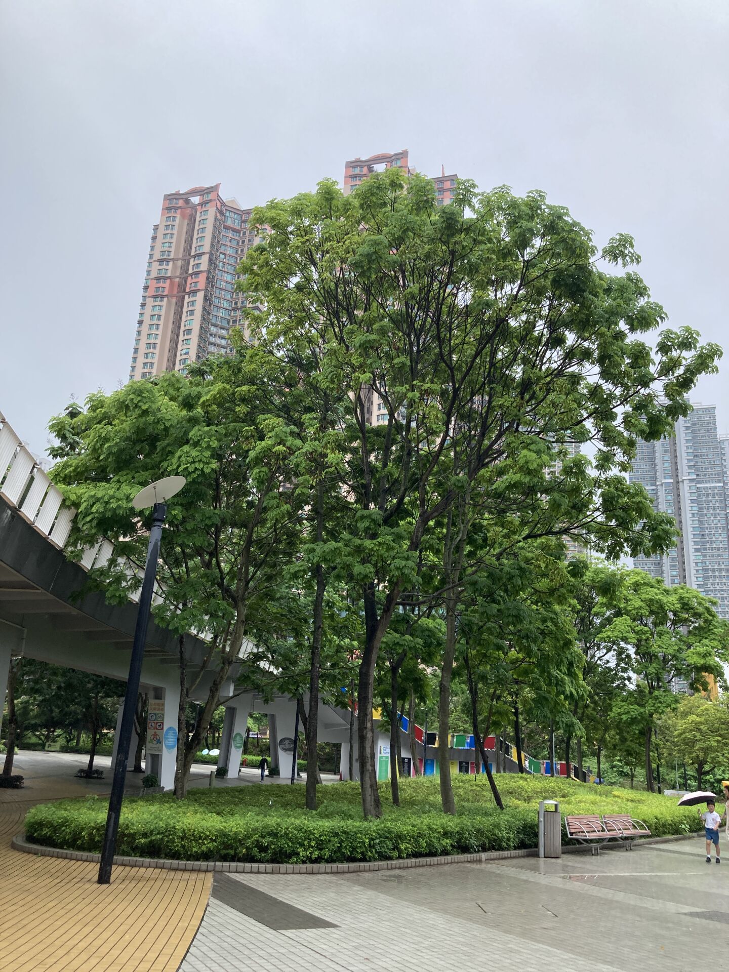 https://www.fa.gov.hk/銀珠