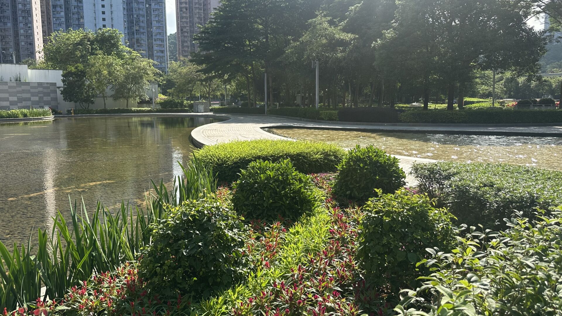 https://www.fa.gov.hk/雞冠花