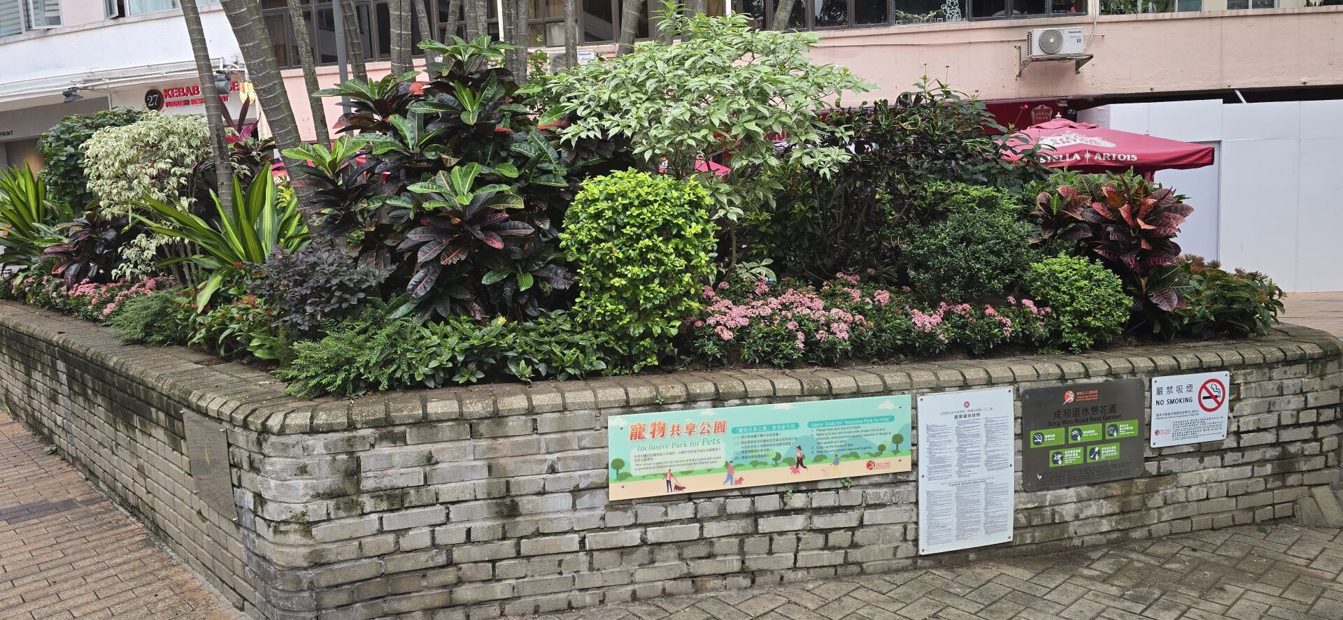 https://www.fa.gov.hk/細葉龍船花