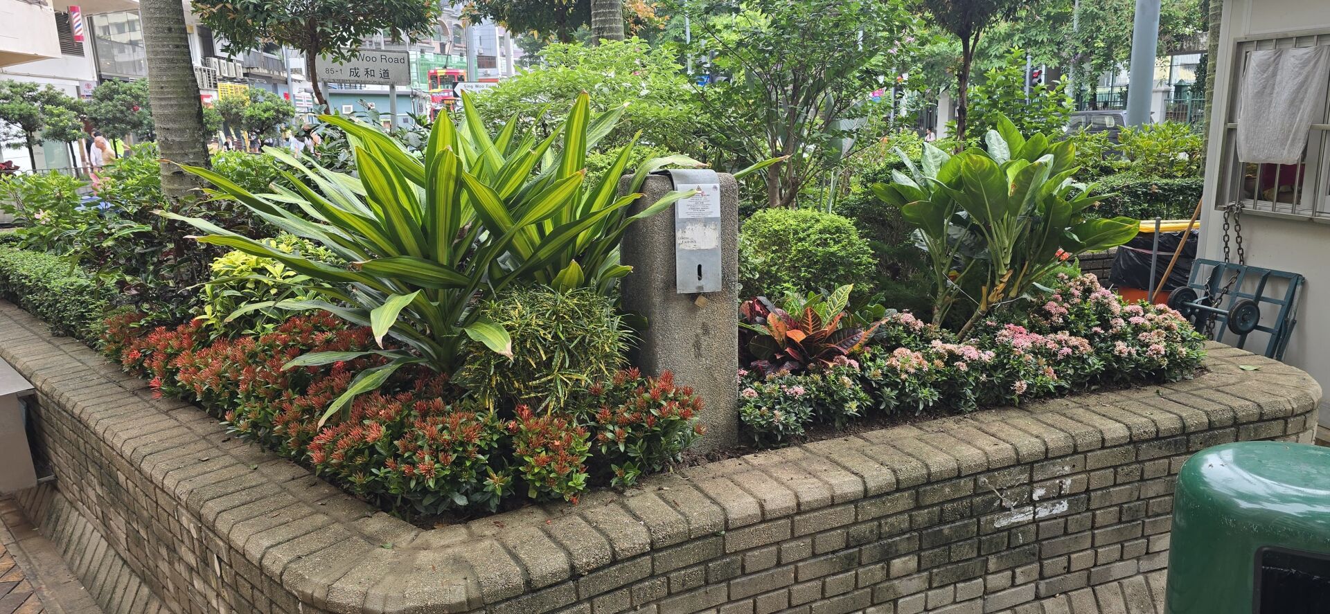 https://www.fa.gov.hk/細葉龍船花