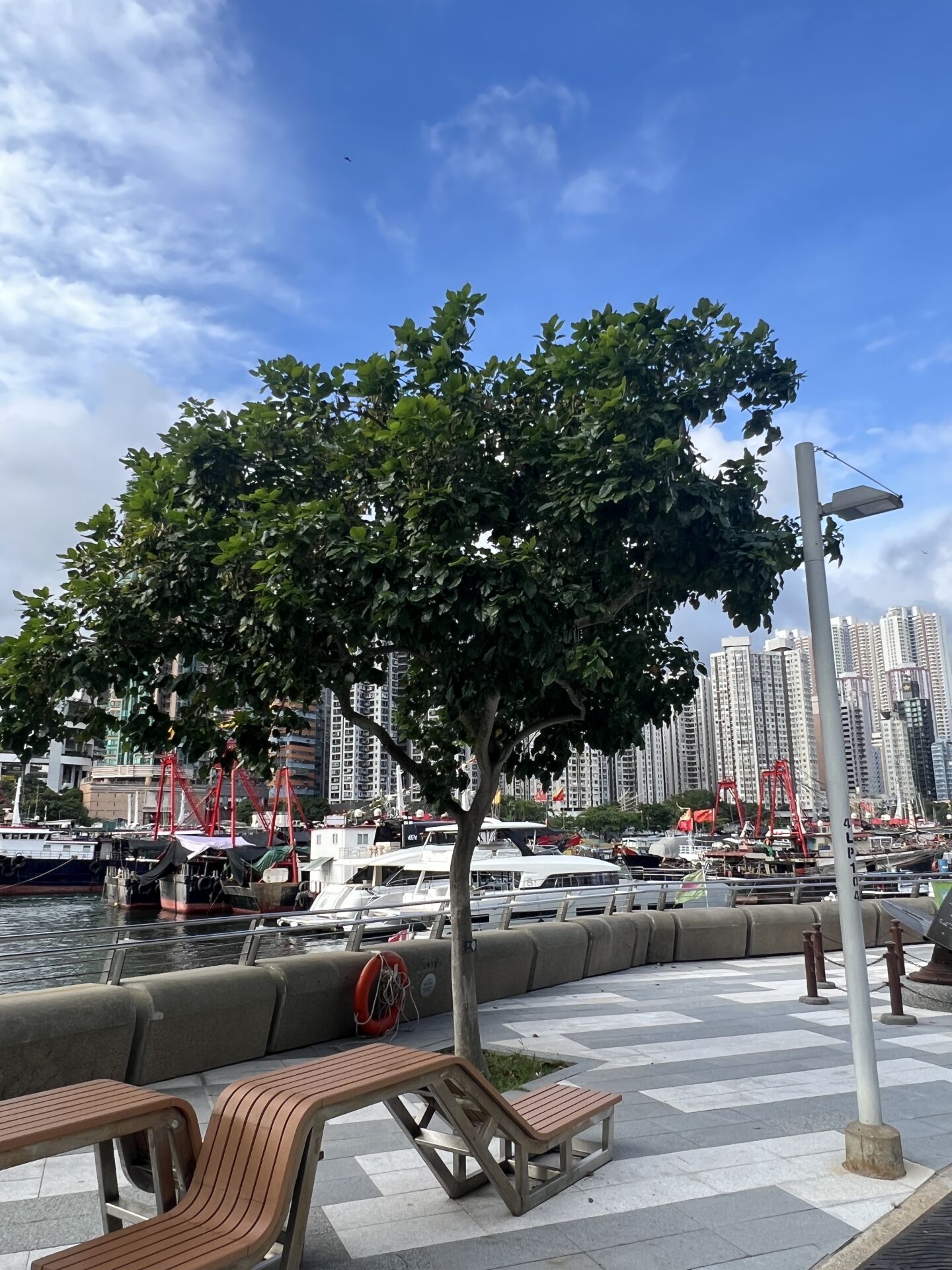 https://www.fa.gov.hk/水黃皮