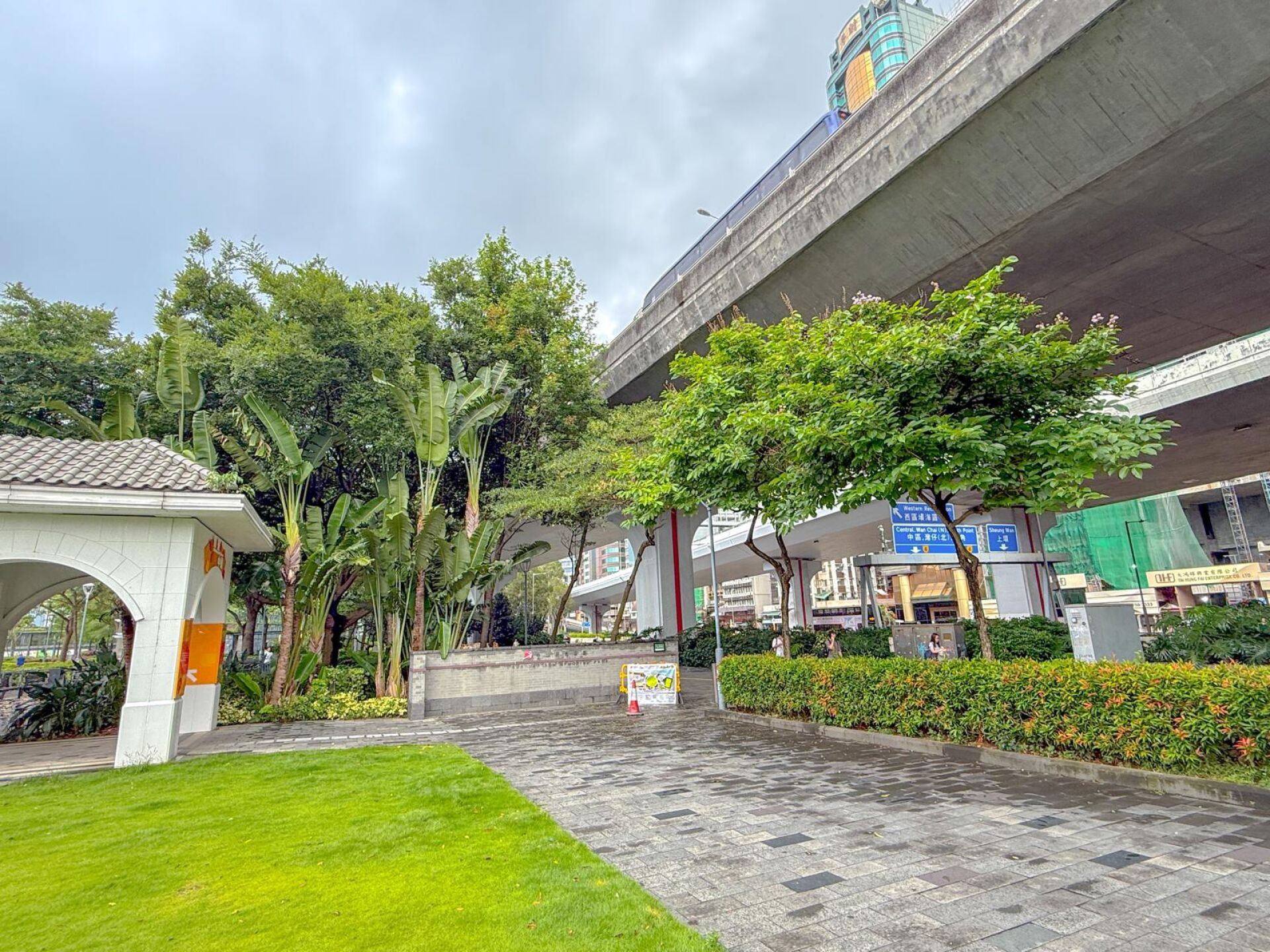 https://www.fa.gov.hk/大花紫薇(洋紫薇)
