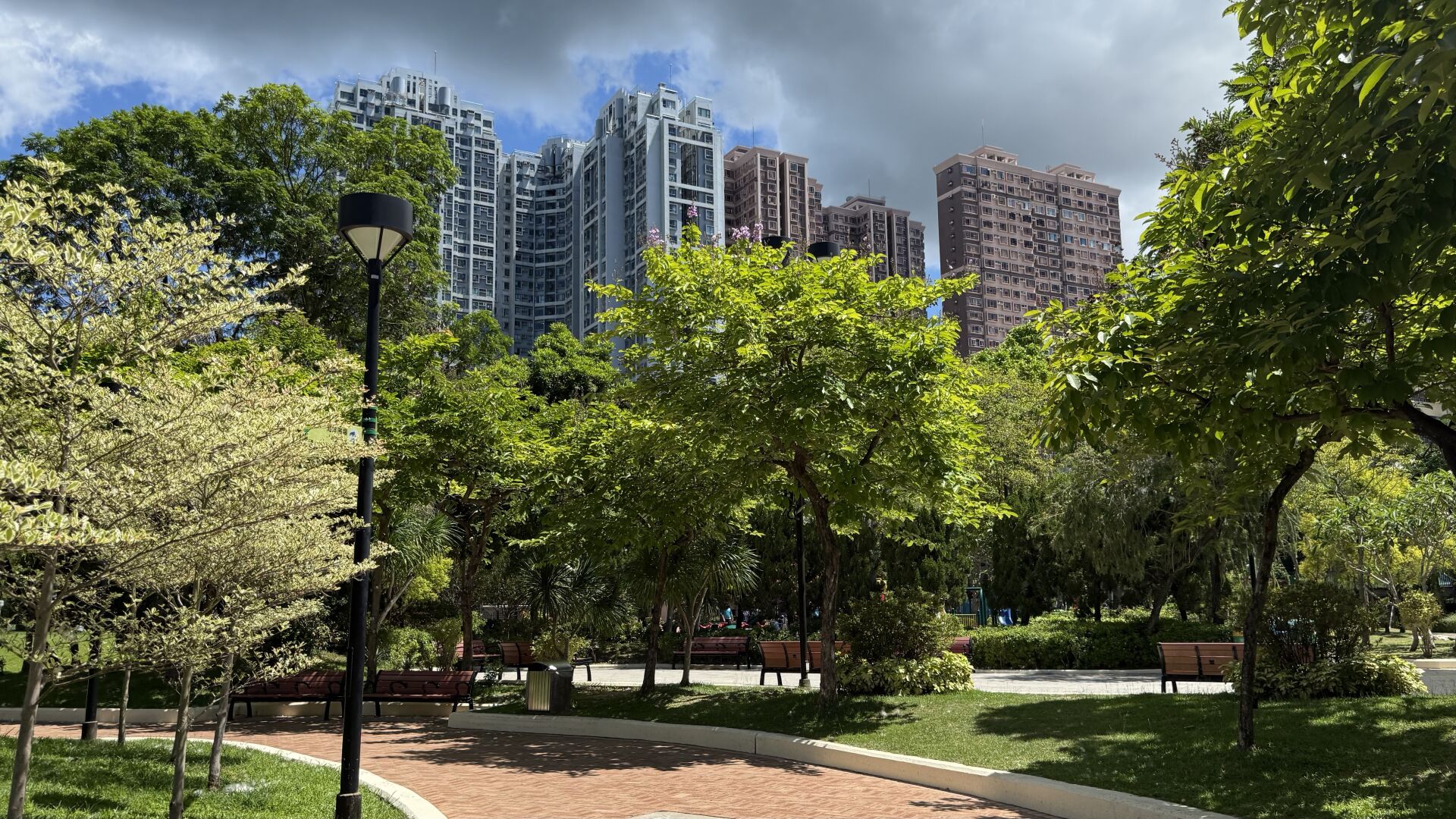 https://www.fa.gov.hk/大花紫薇(洋紫薇)
