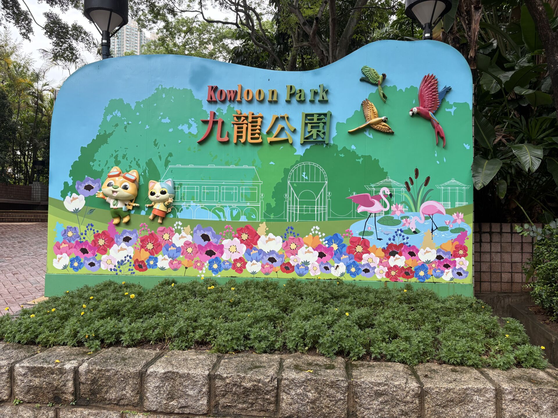 https://www.fa.gov.hk/萬壽菊
