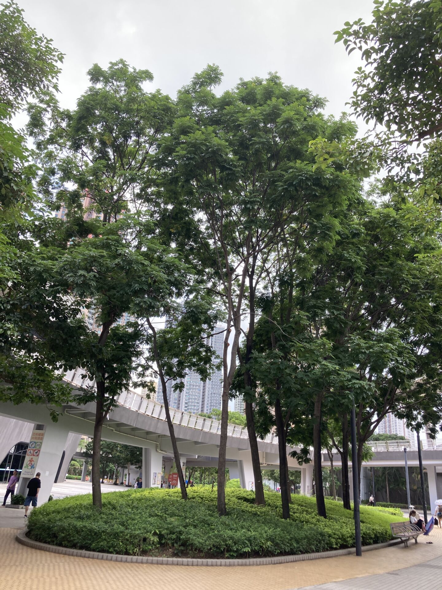 https://www.fa.gov.hk/銀珠