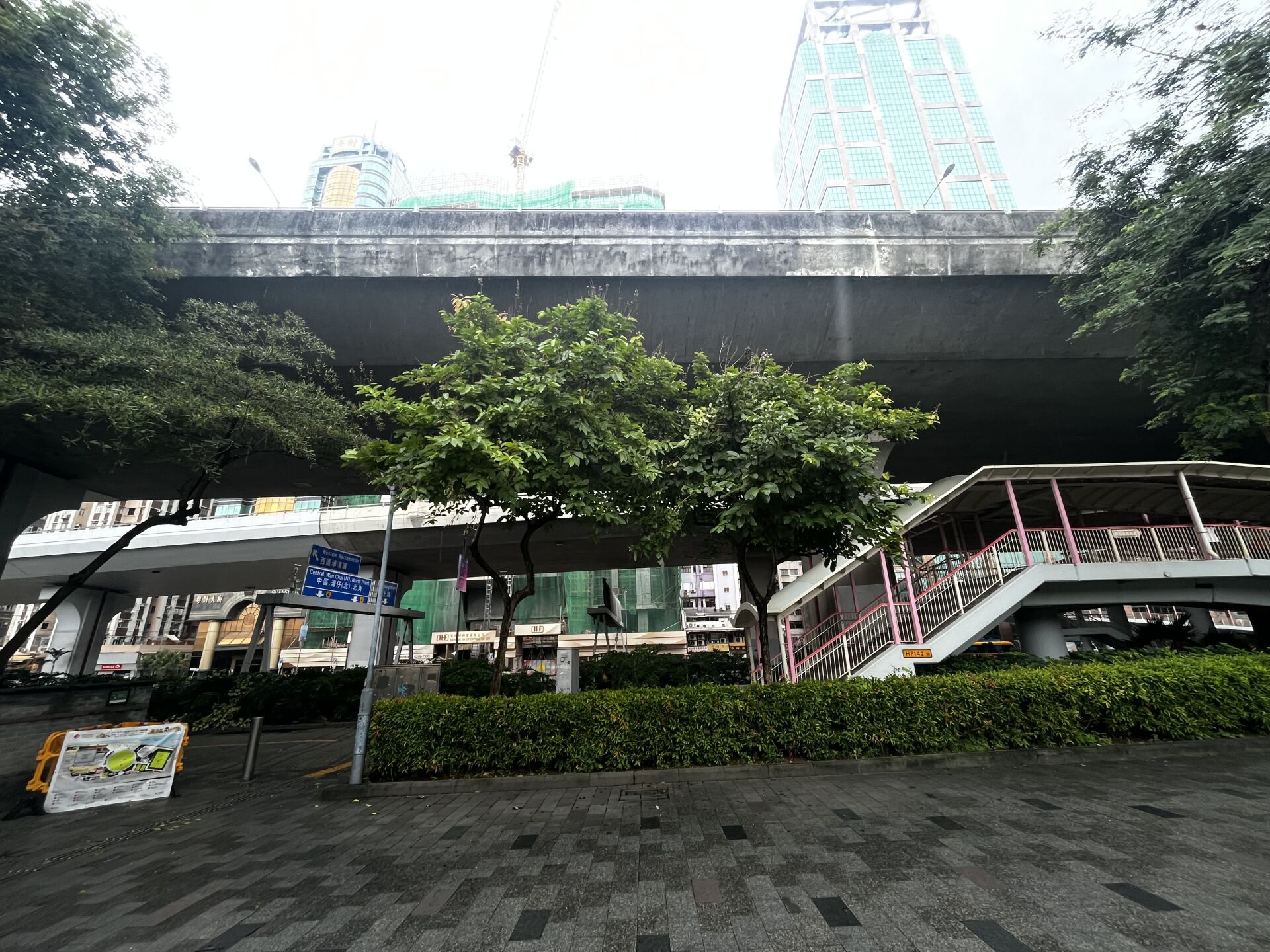 https://www.fa.gov.hk/大花紫薇