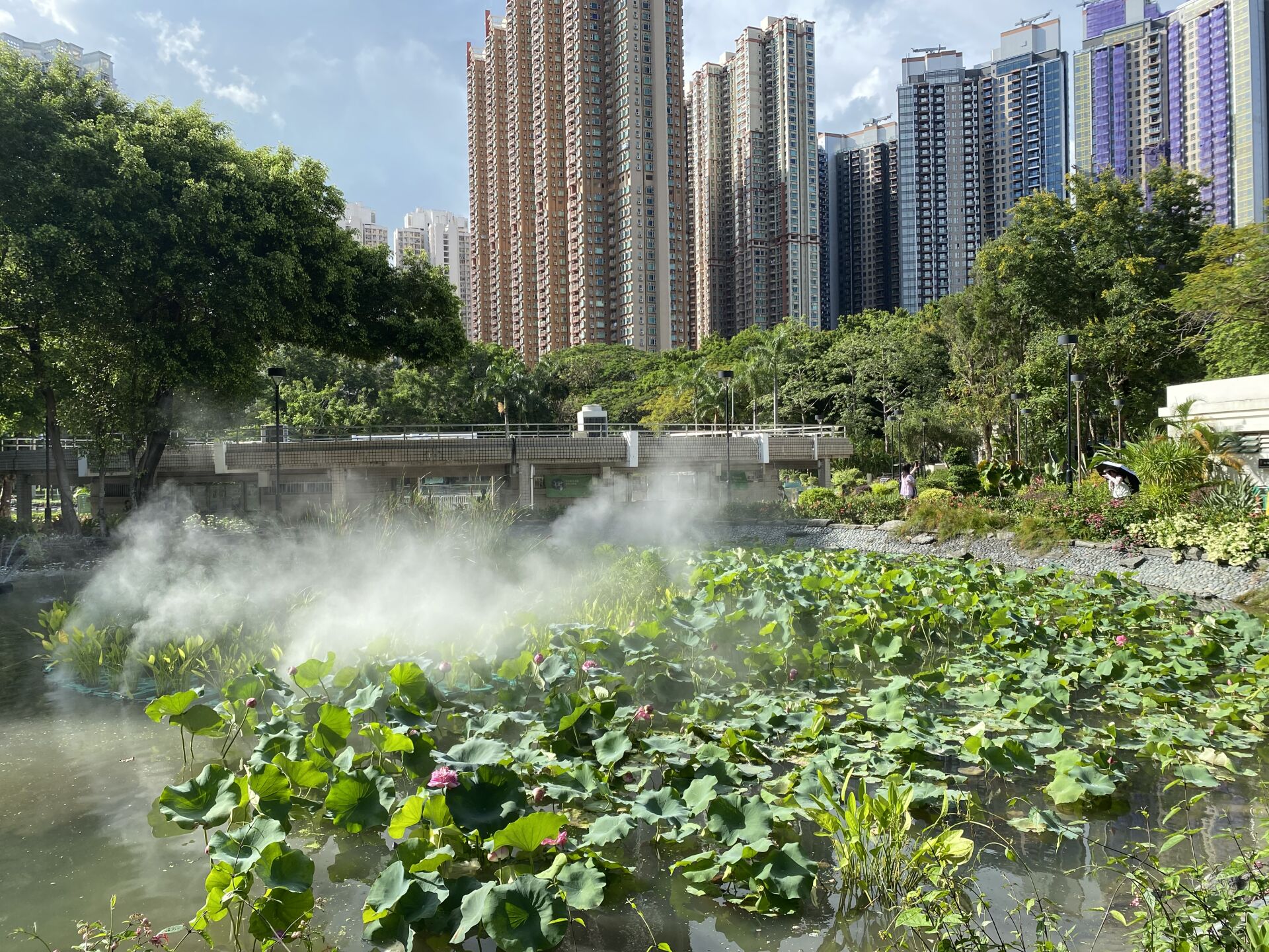 https://www.fa.gov.hk/荷花