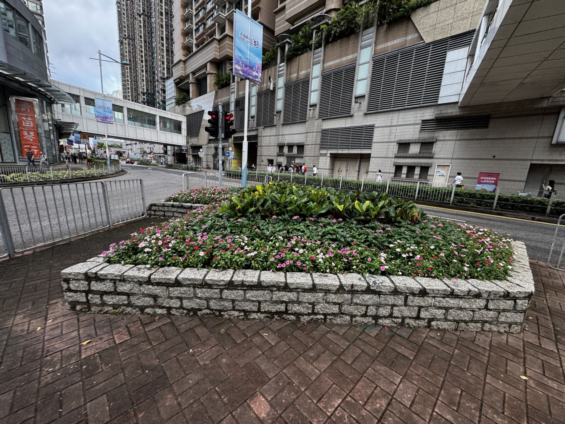 https://www.fa.gov.hk/長春花